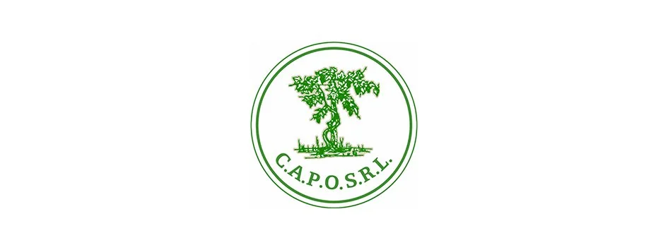 capo.jpg