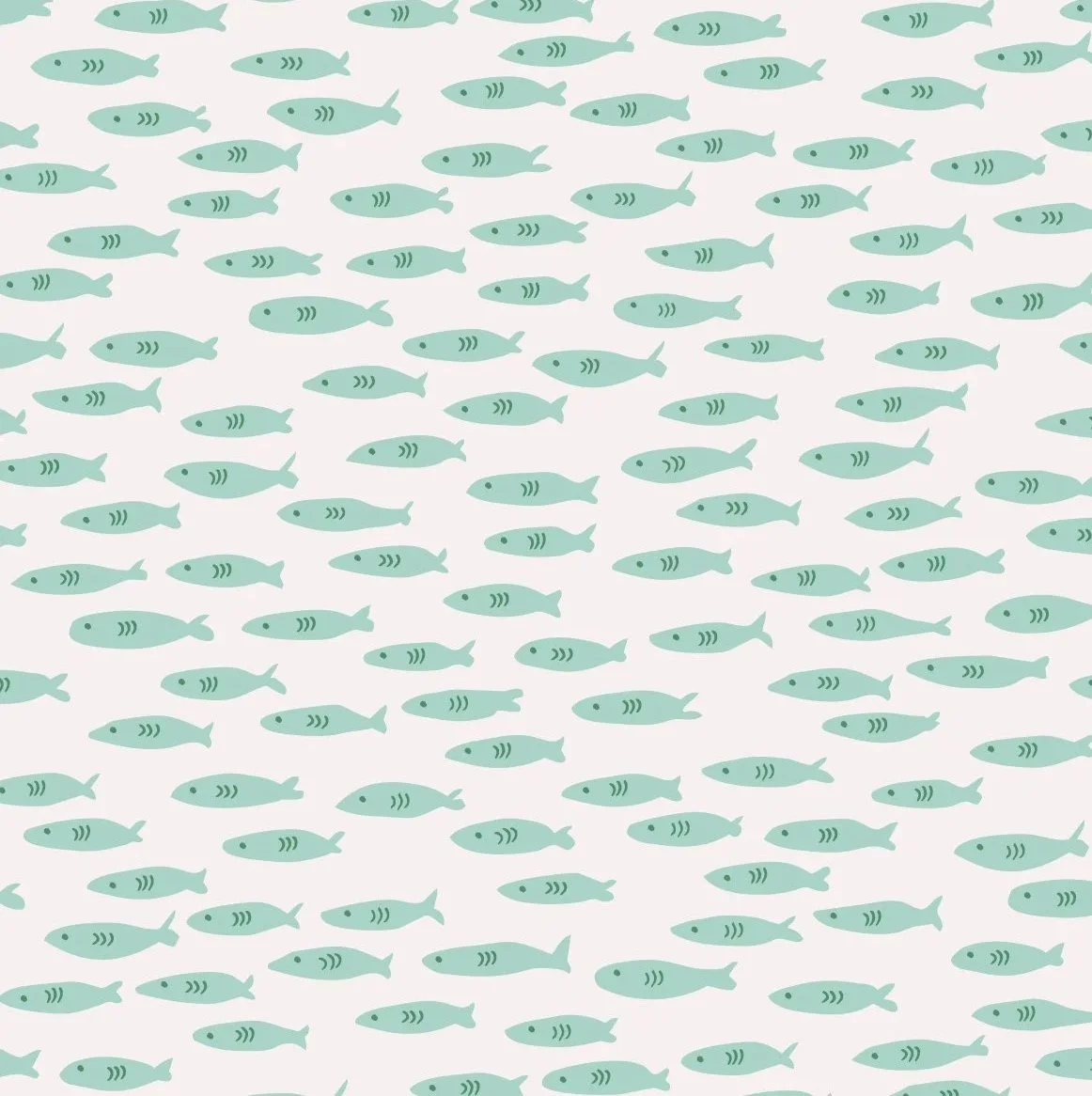 minnows1.jpg