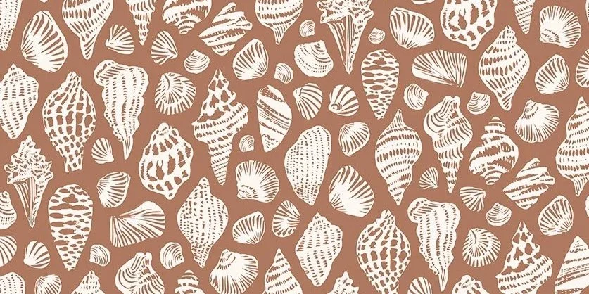Seashells+Caramel+Brown.jpg