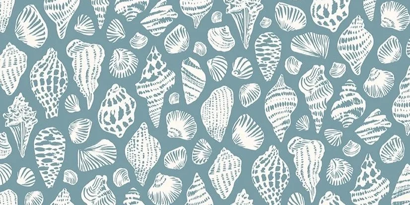 Collected+shells+seafoam+blue.jpg