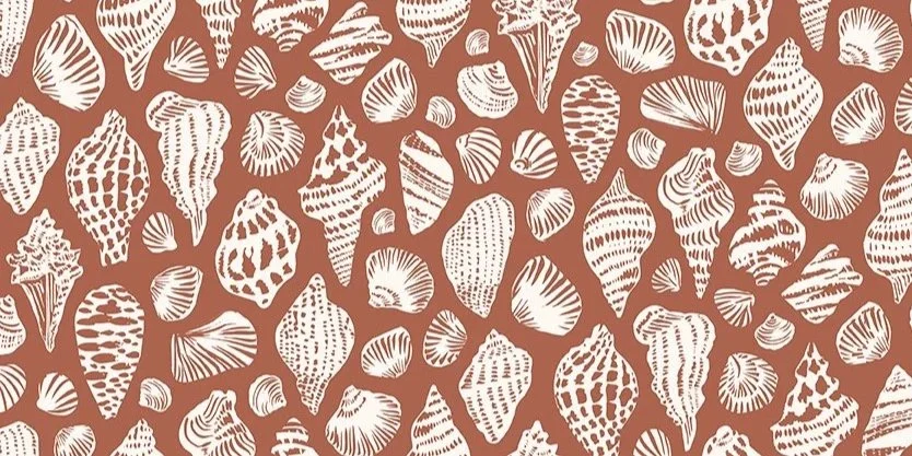 Collected+Shells+Adobe+Clay.jpg