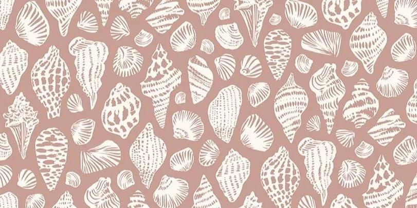 Collected+Shells+-+Pink+color.jpg