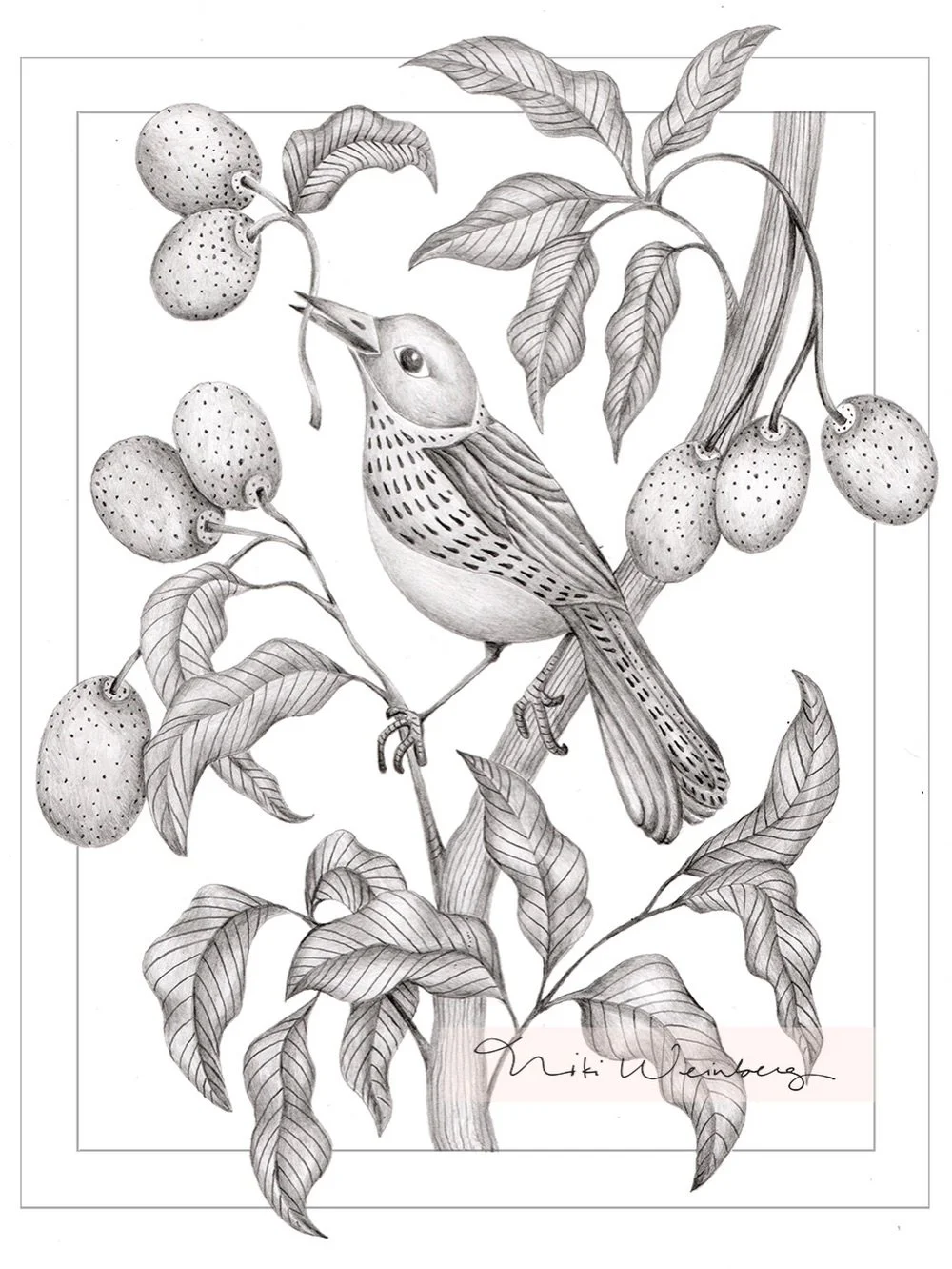 A little look into the design process!

This graphite placement piece is part of the early exploration for my Kumquats, Birds &amp; Butterflies collection. This graphite sketch may not be the final style of the collection, but that&rsquo;s the point.