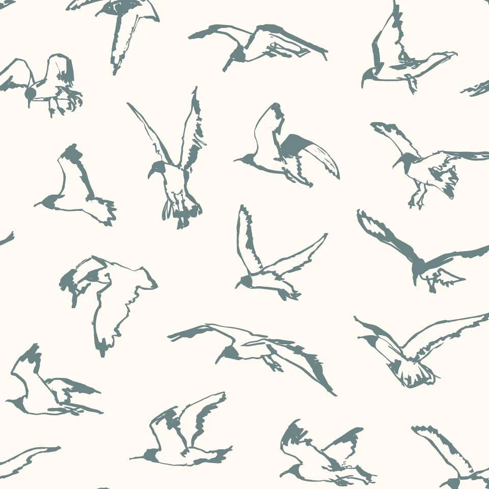 Seagull Sketches: Medium-scale tossed repeat featuring hand-drawn seagulls in flight in muted blue-green on a warm cream background. Designed as a coastal coordinate for wallpaper, textiles, home decor, and interior pattern collections.