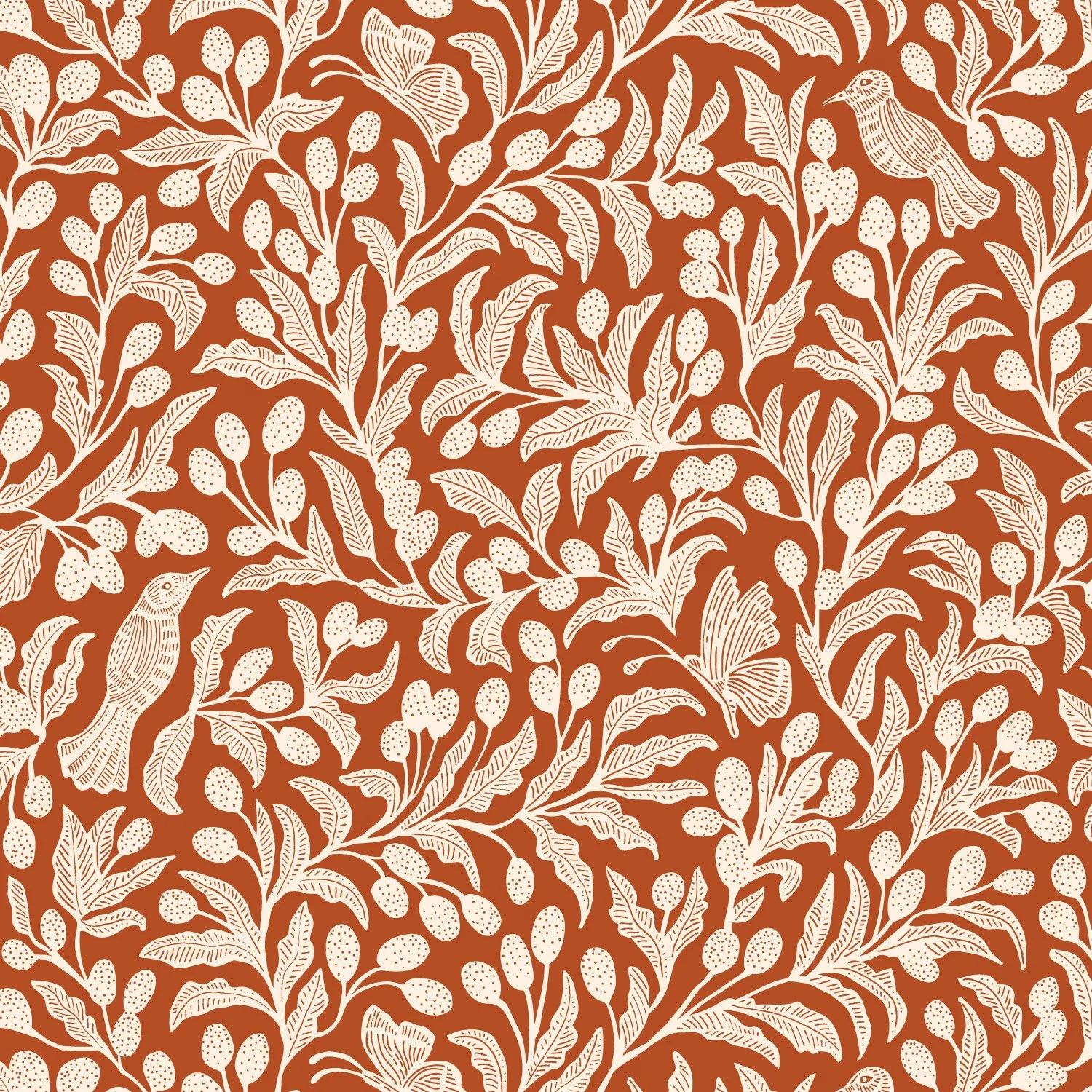 Niki_Weinberg_Kumquats_Mercado.jpg