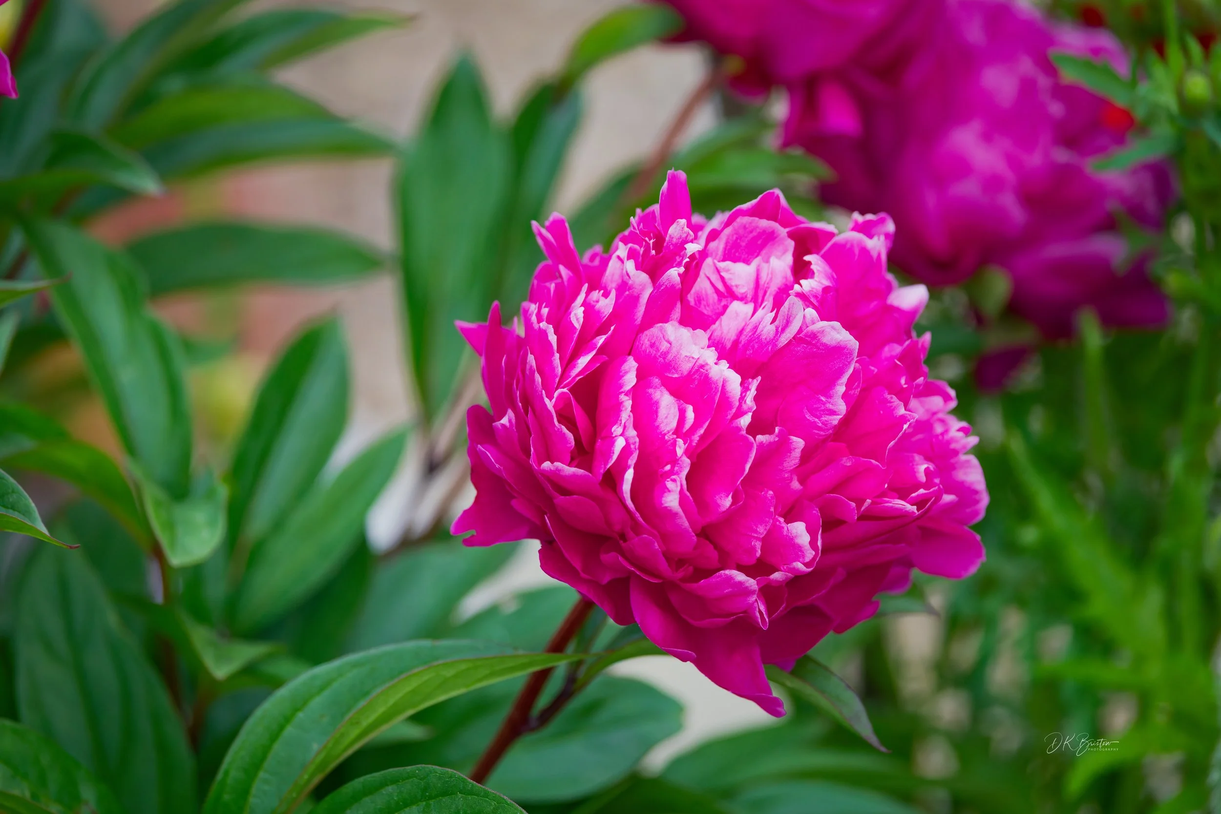 309A9599_DxO.jpg