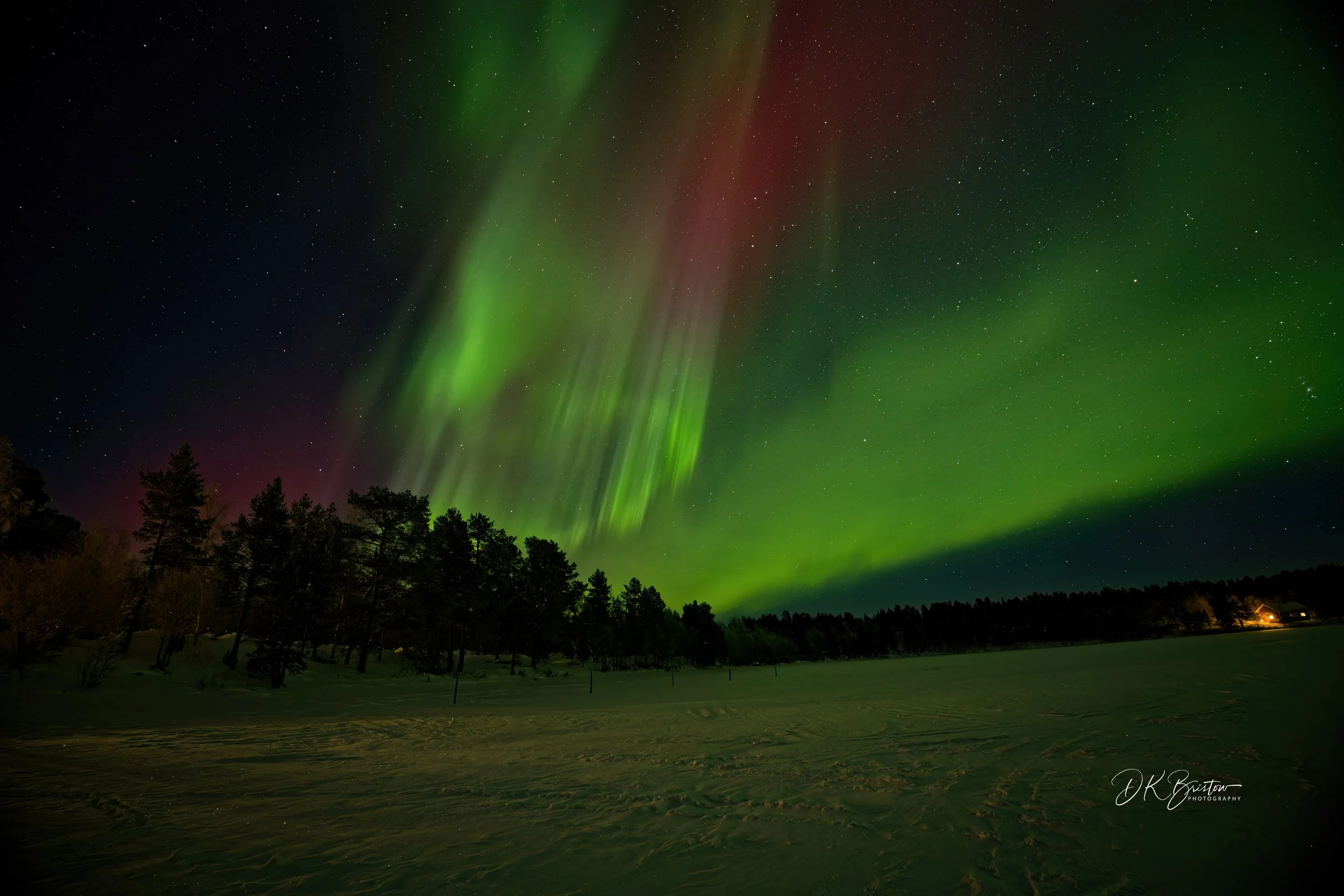 Northern lights glowing green and red in a starry night sky over snow-covered ground and trees.