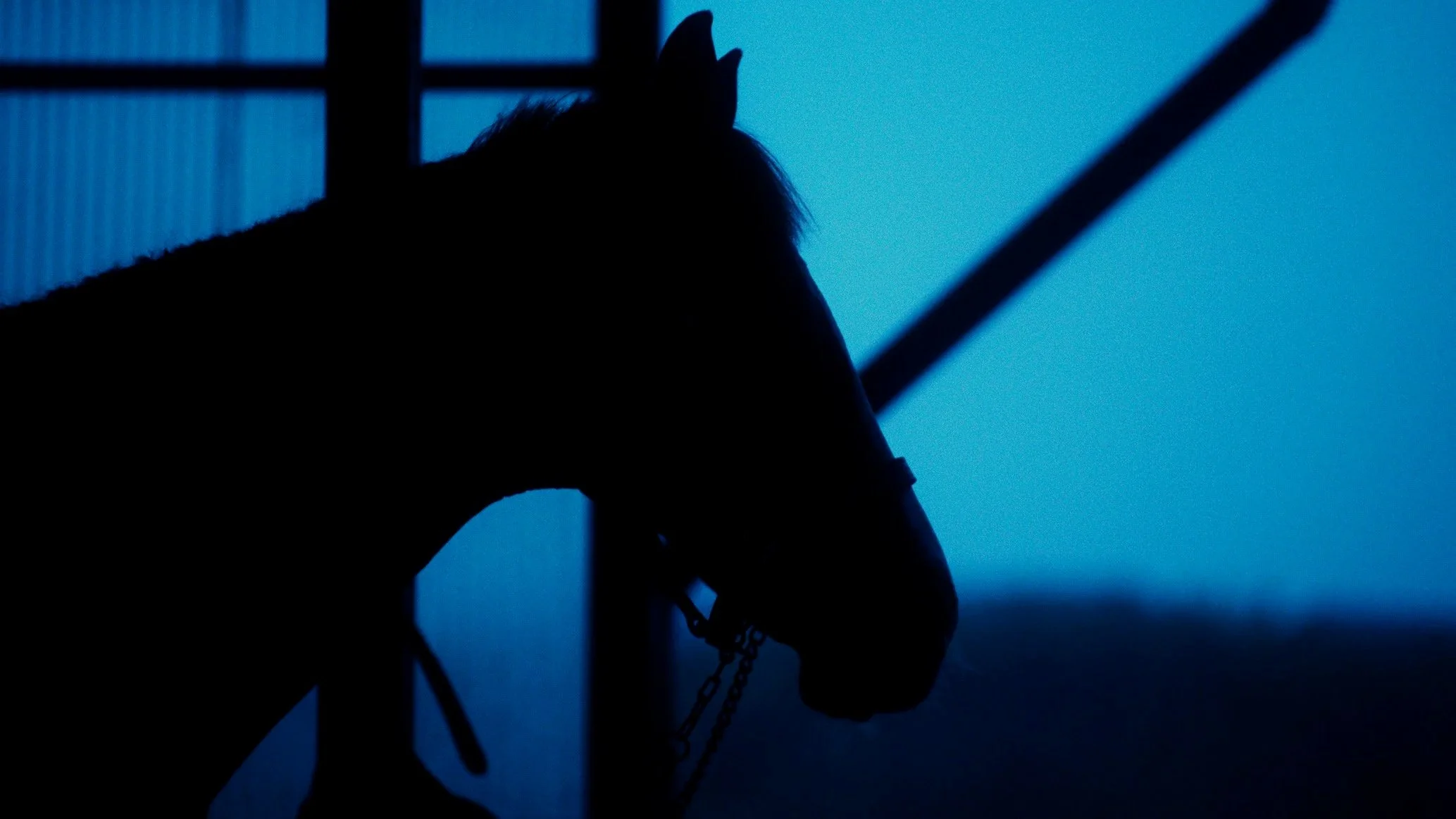 夕暮れの馬のシルエットと馬房の壁