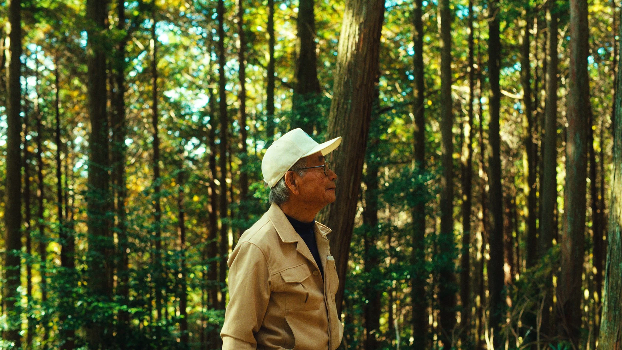 森の中を歩く老人の横顔。サングラスと白い帽子、ベージュのジャケットを着ている。木々が生い茂る自然の風景。