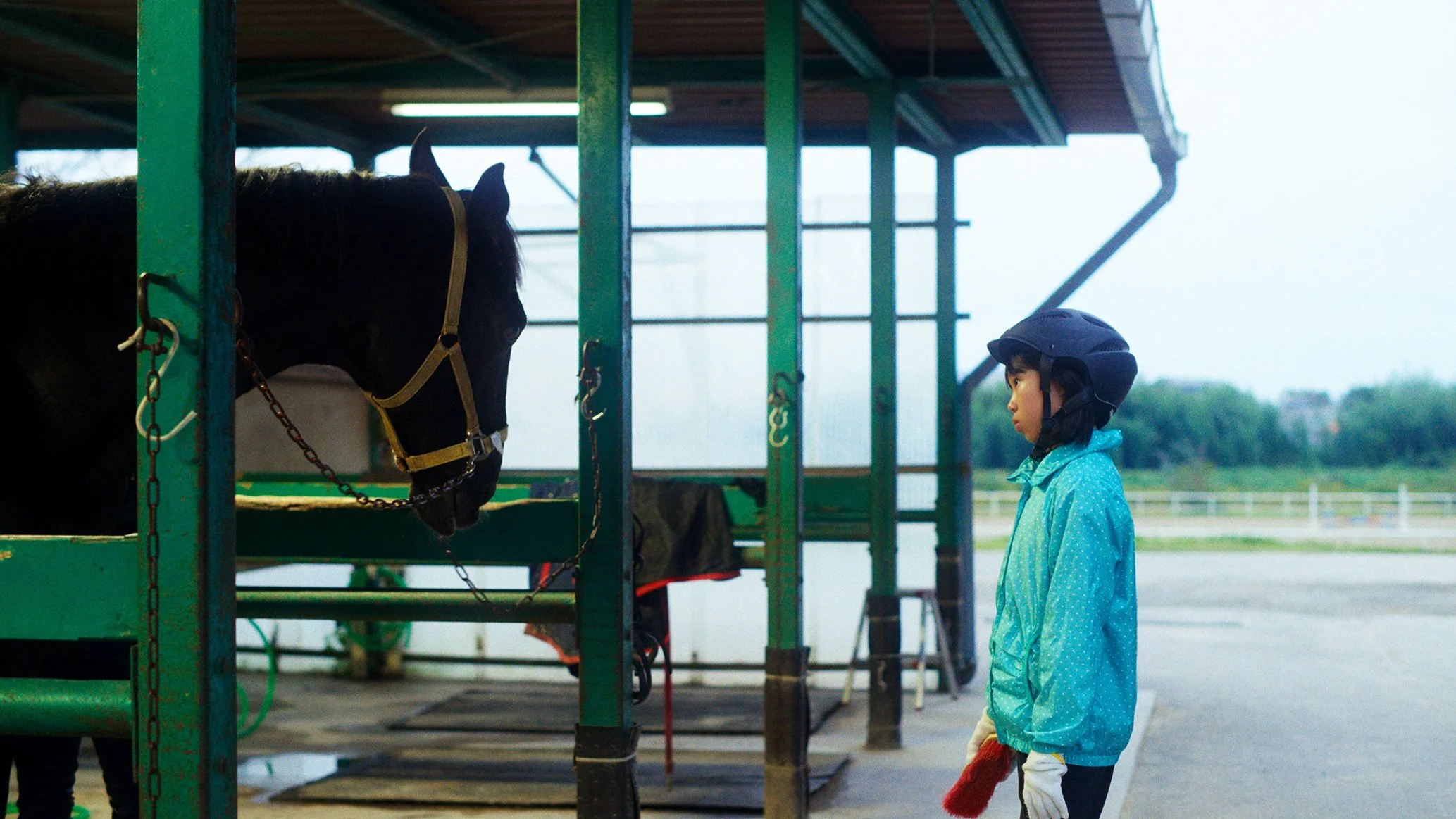 ヘルメットをかぶった少年と馬が厩舎の中で対面している様子