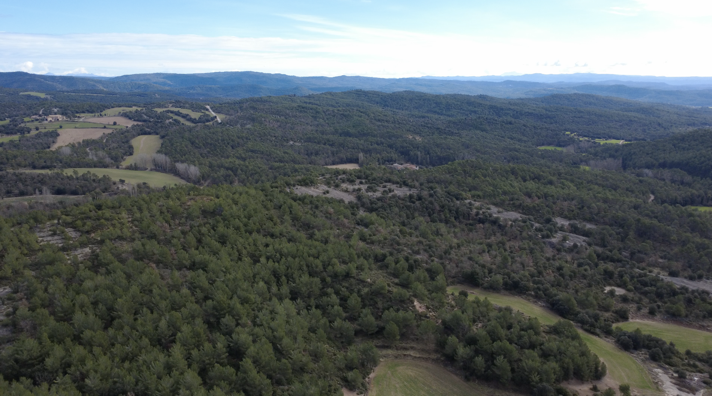 Screenshot 2026-02-24 at 00.37.16.png