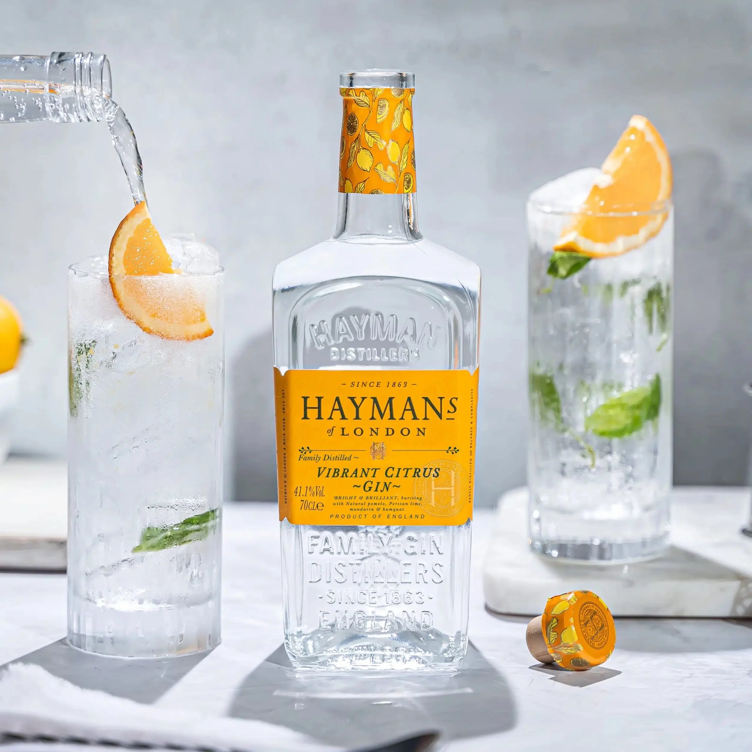 Haymans Gin— Crafting a Distinctive Brand World