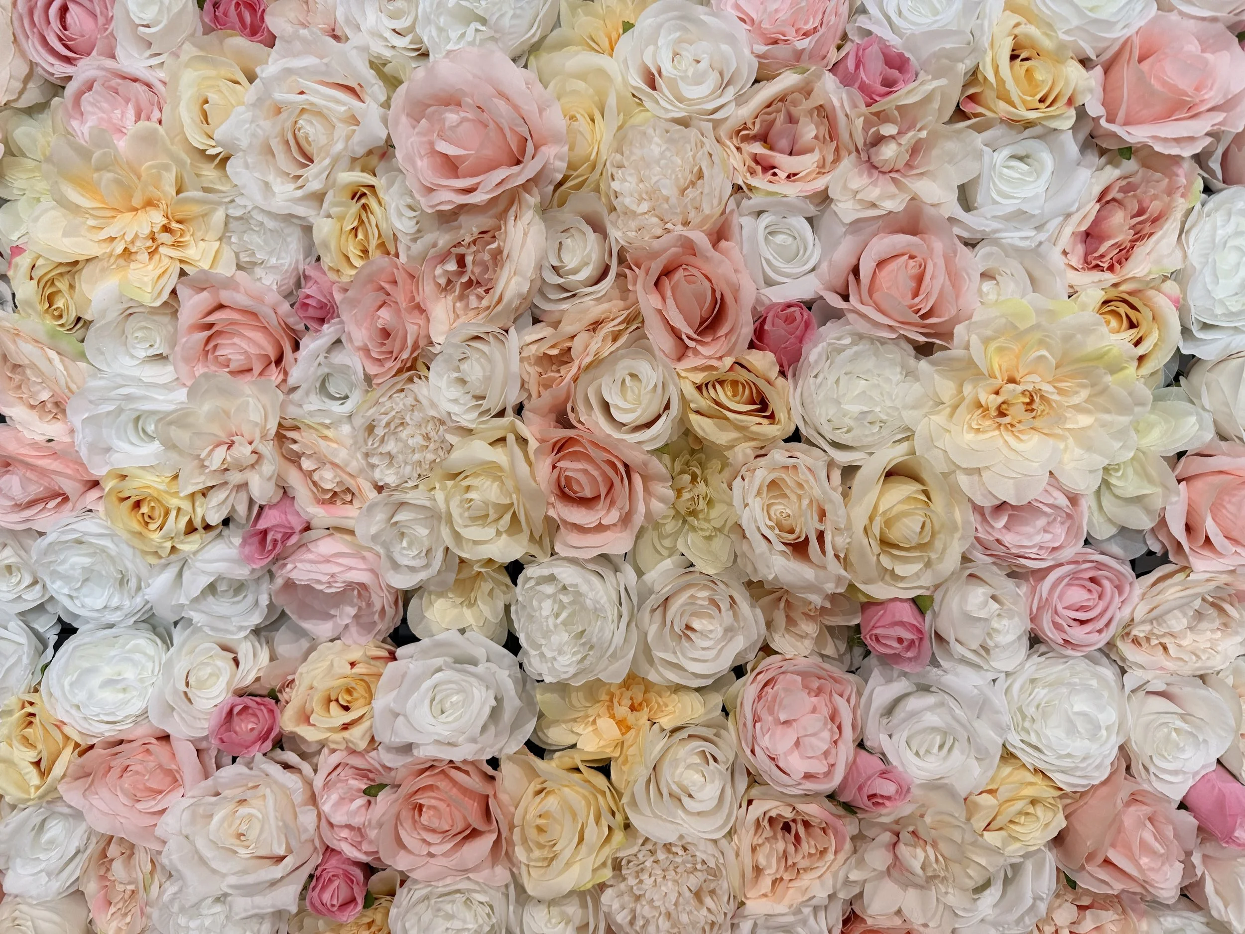 flower wall. A large arrangement or wall of numerous roses in soft pastel colors including pink, peach, cream, and white.