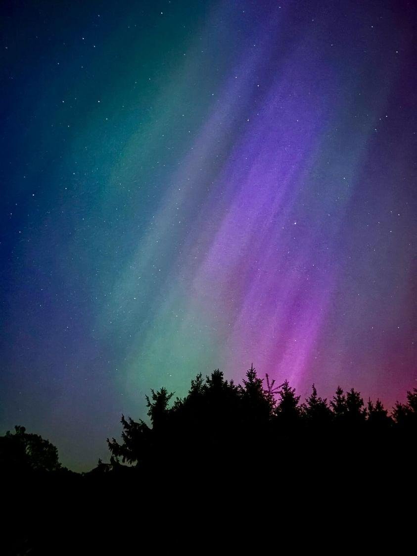 Night sky with colorful aurora borealis and silhouetted trees in the foreground.