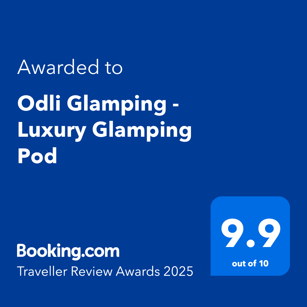 Award certificate with blue background for Odli Glamping - Luxury Glamping Pod, from Booking.com, rated 9.9 out of 10, for Traveller Review Awards 2025.