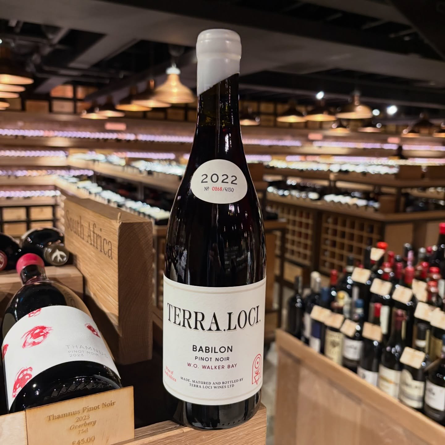 Babilon Pinot @hedonism_wines ❤️

@pdtwine @asador_carneology @johannfourie