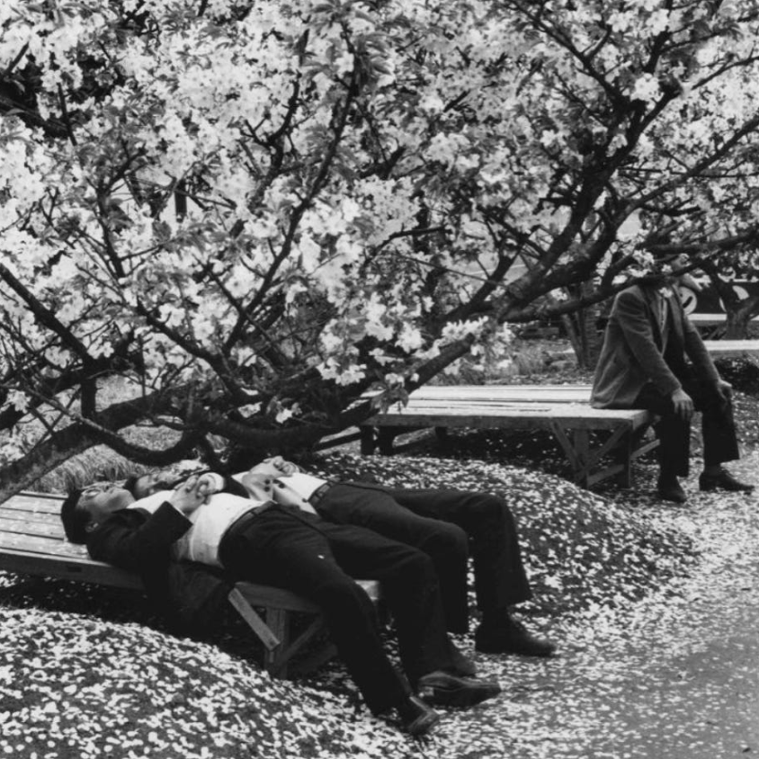 Santé mentale au travail Conseil, QVT et Prévention des RPS