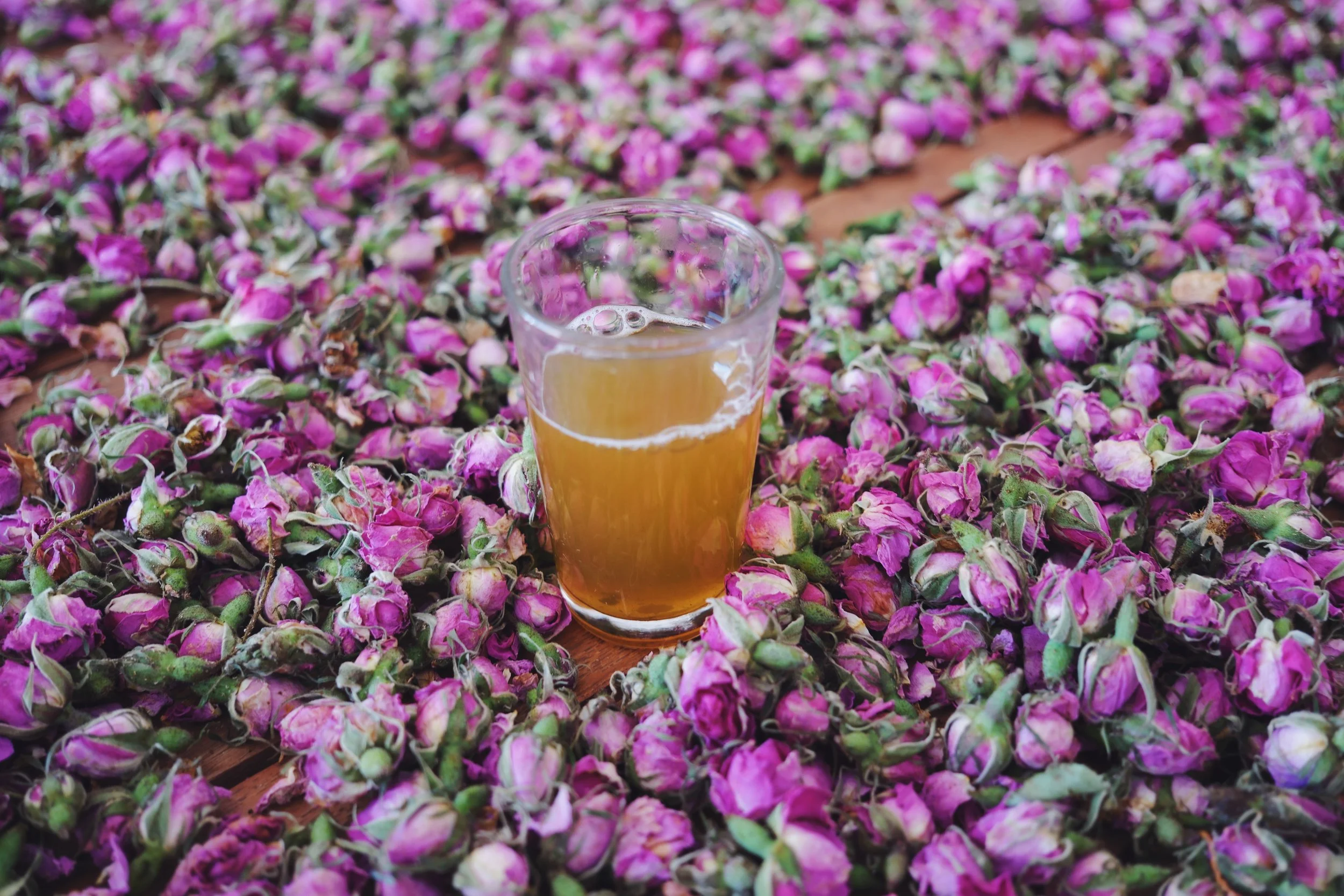 D62FC257-4374-40FE-AECC-D78F07E24996.JPG