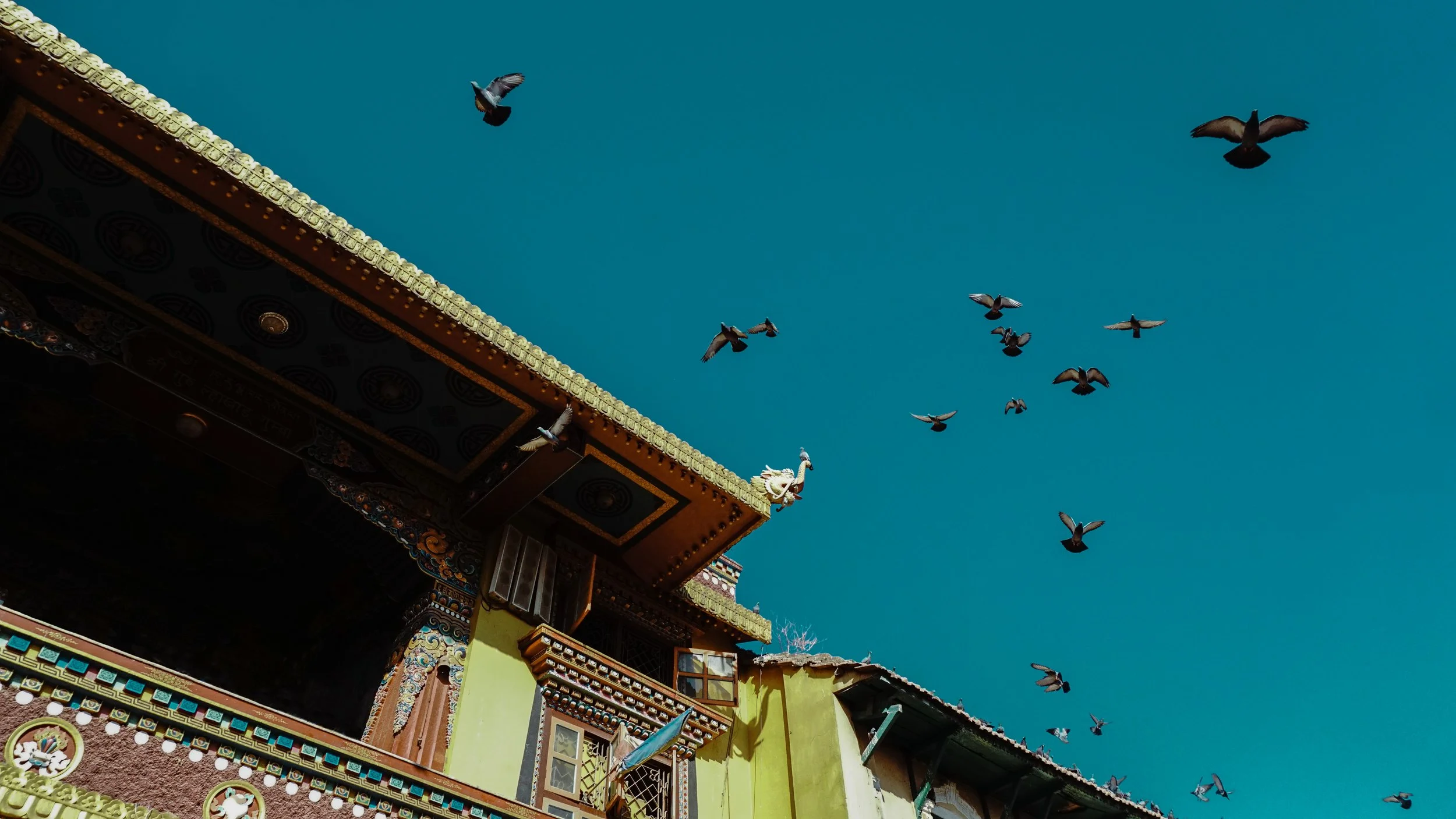 RAJ04952 2.JPG