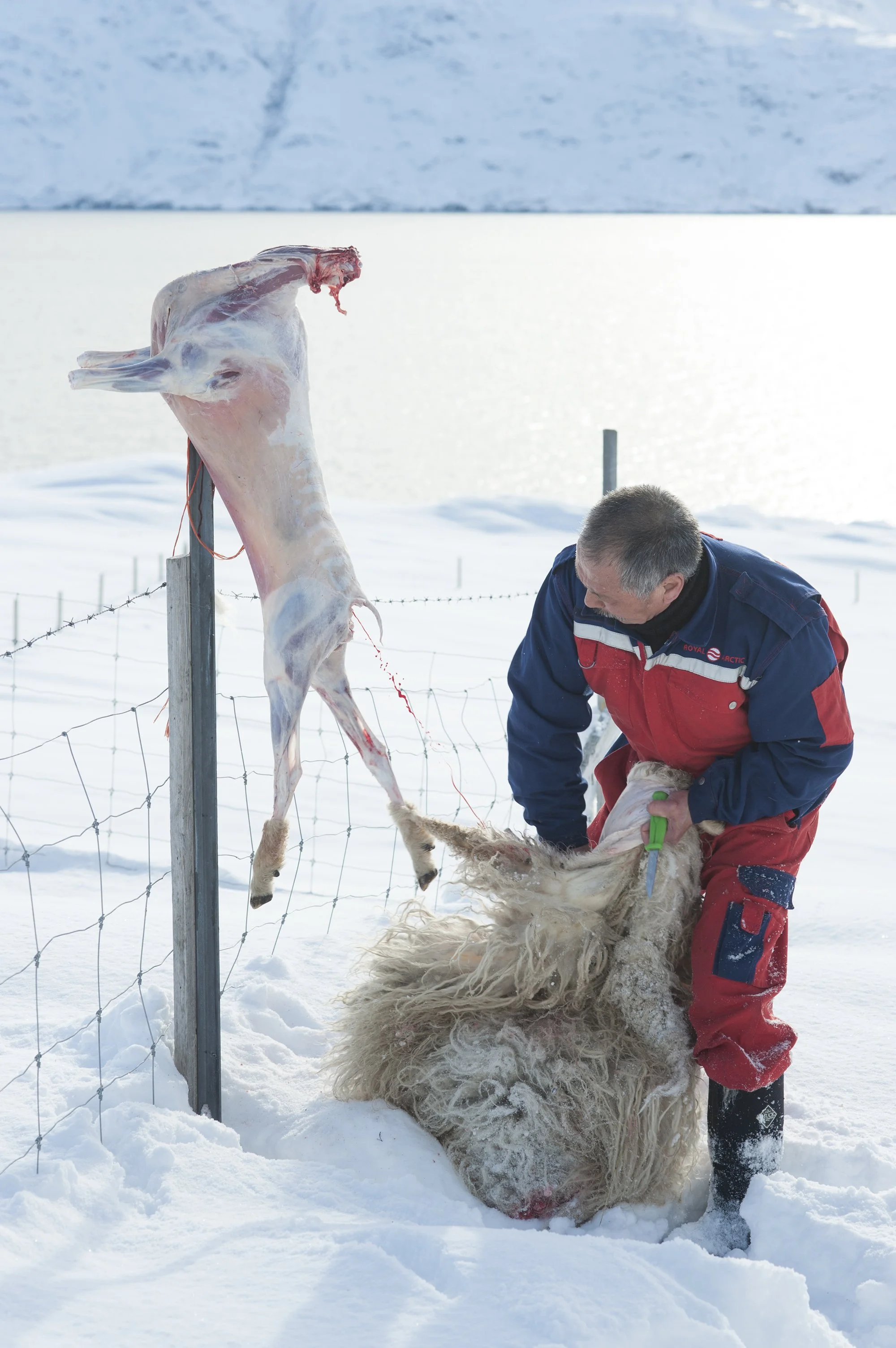 250_Ipiutaq_DSC_2821 copie.jpg