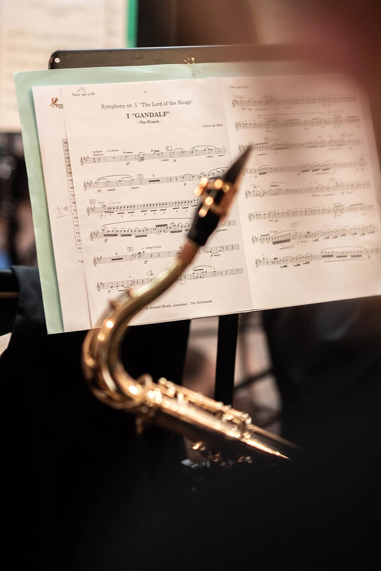 Contrées cuivrées_2026-130.jpg