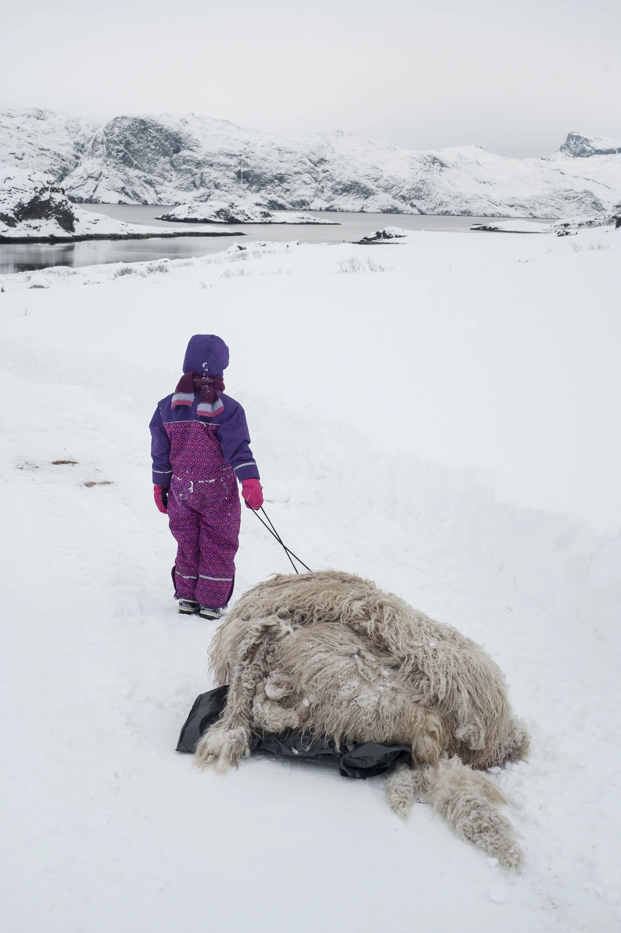 312_Ipiutaq_DSC_3329 copie.jpg
