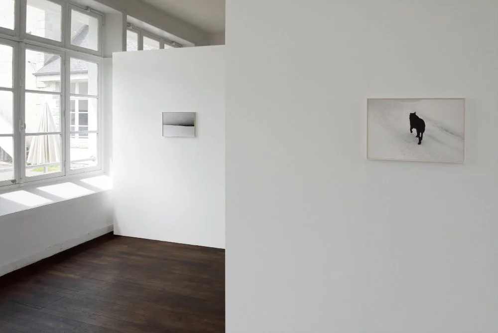 Quand on parle du Loup 2.jpg