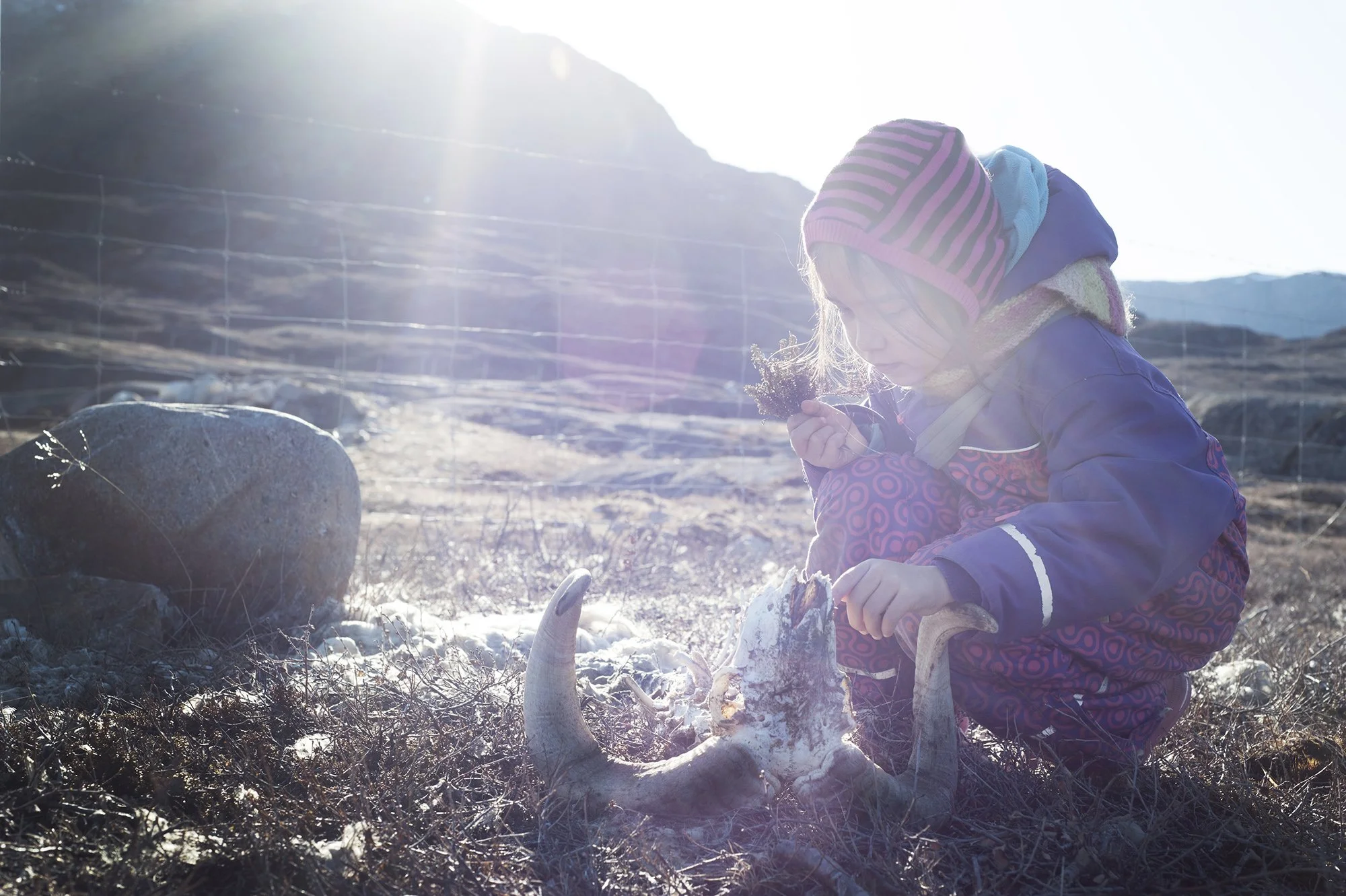 789_Ipiutaq_DSC_7234 copie (1).jpg
