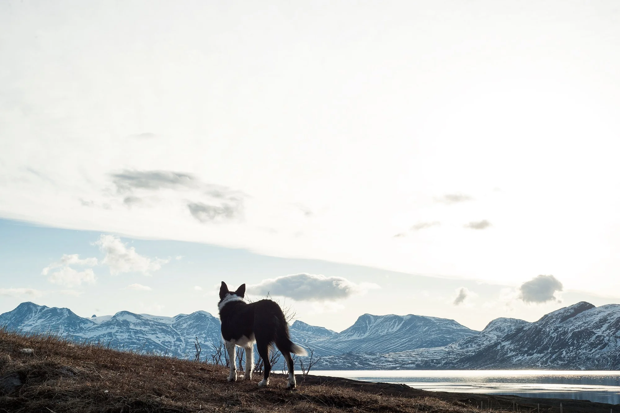 609_Ipiutaq_DSC_5780 copie.jpg