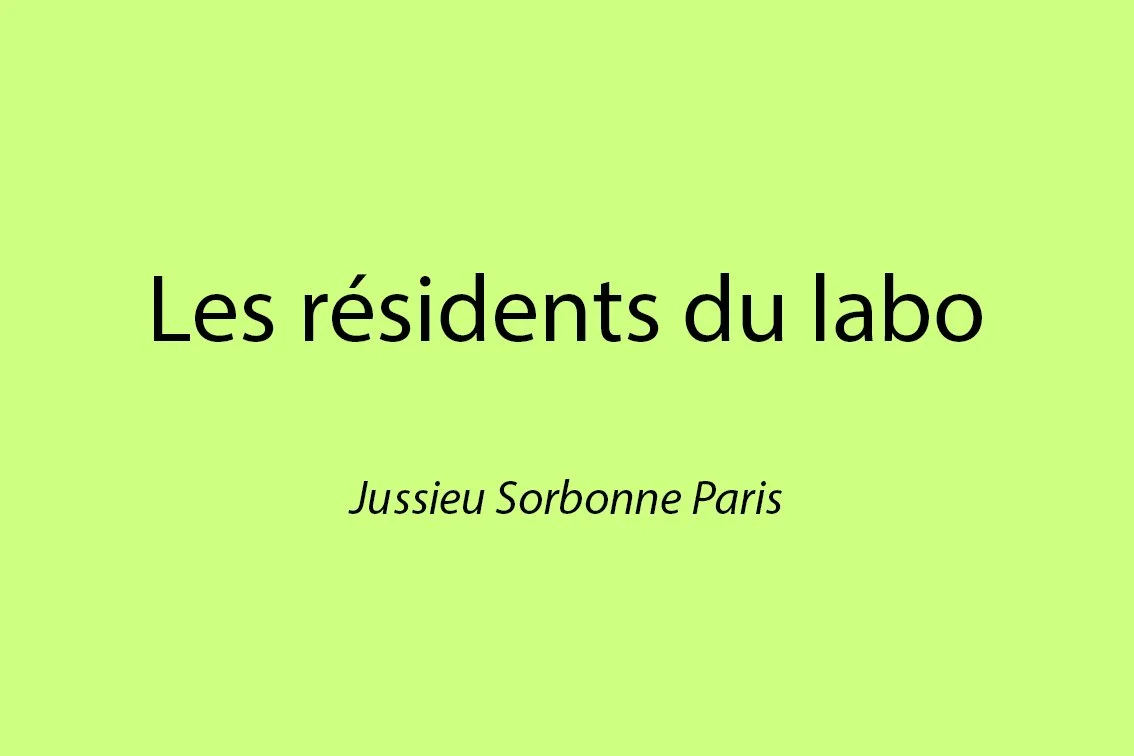 legende sorbonne.jpg