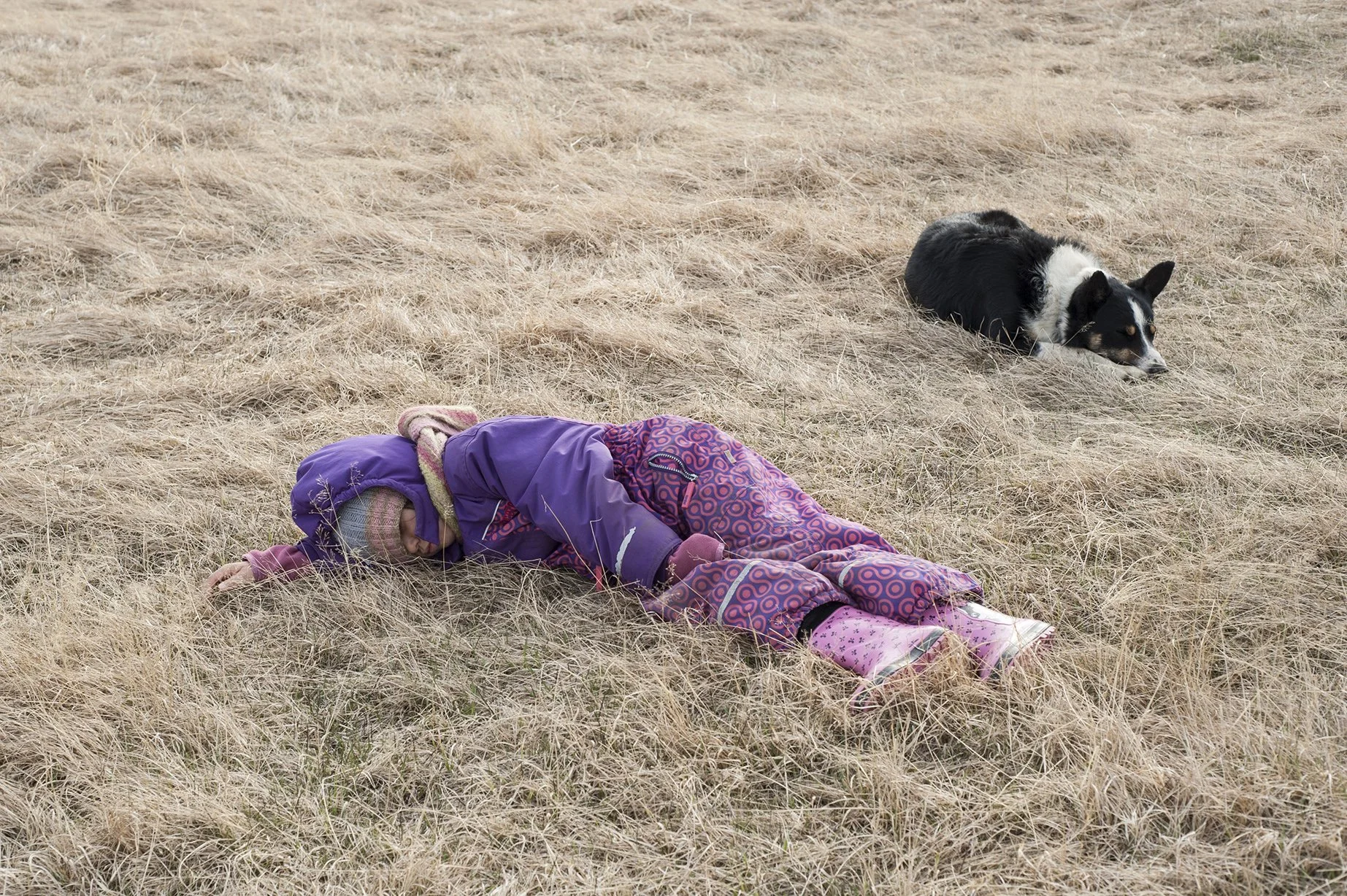 1585_Ipiutaq_DSC_1947 copie.jpg