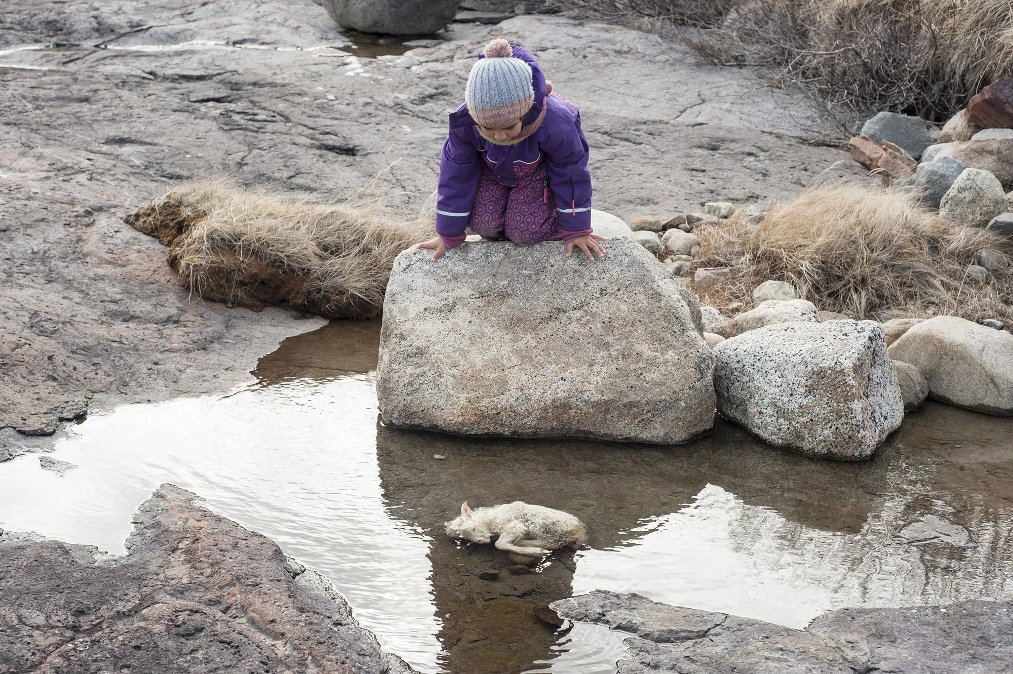 1641_Ipiutaq_DSC_2276 copie.jpg