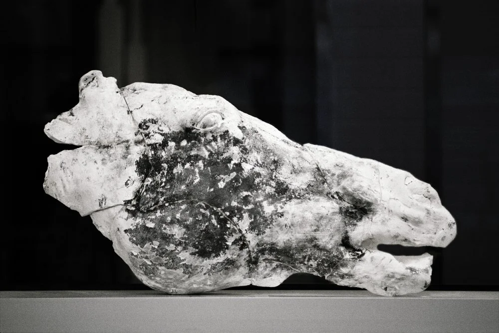 SuiteBlanche_juliefischer_08 copie.jpg