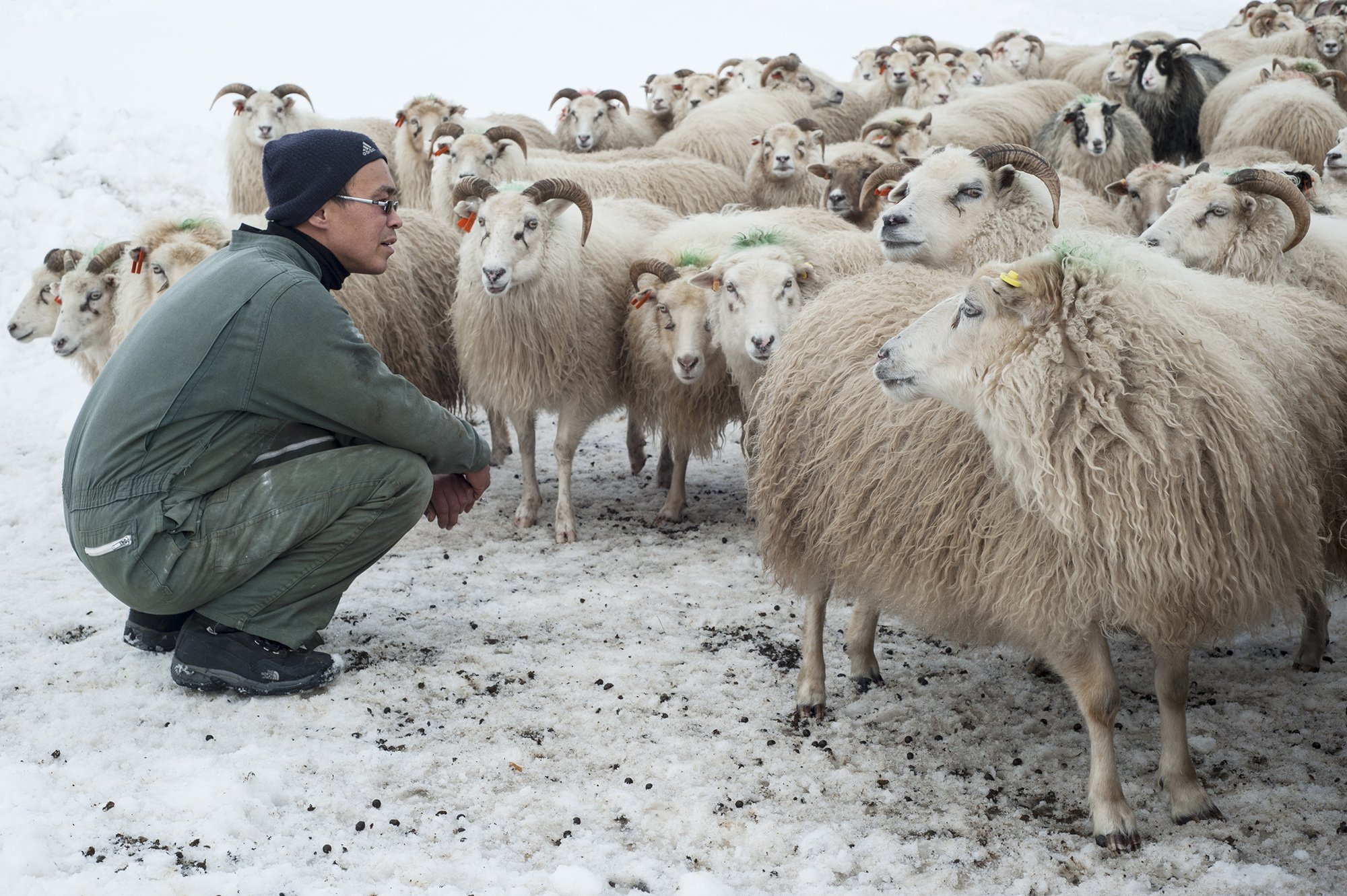 333_Ipiutaq_DSC_3500 copie.jpg