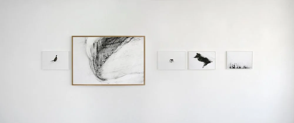 Quand on parle du Loup 3.jpg