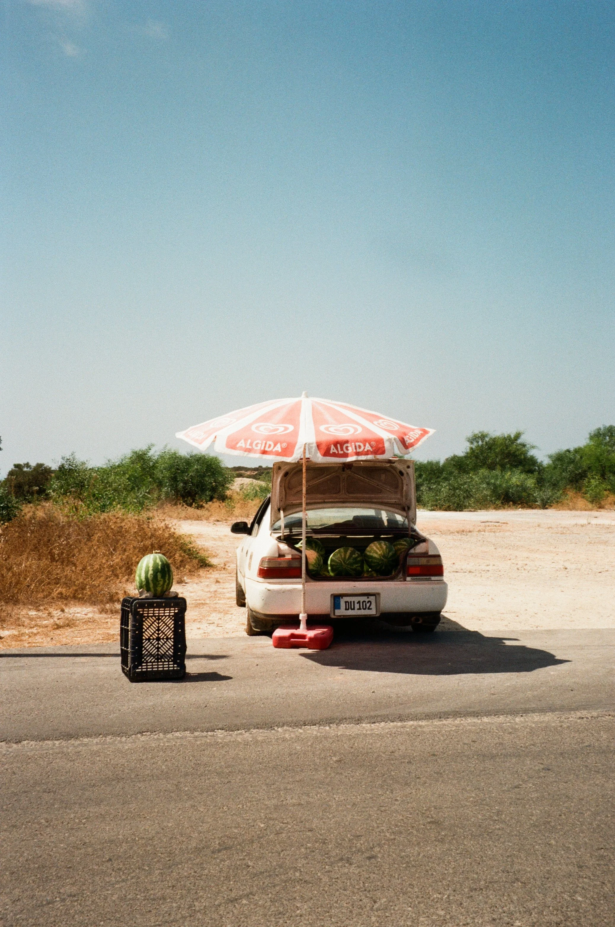 A white car parked on the side of a road with its trunk open, filled with watermelons. A large striped umbrella providing shade is set up over the car. A watermelon is placed on a crate on the ground next to the car.
