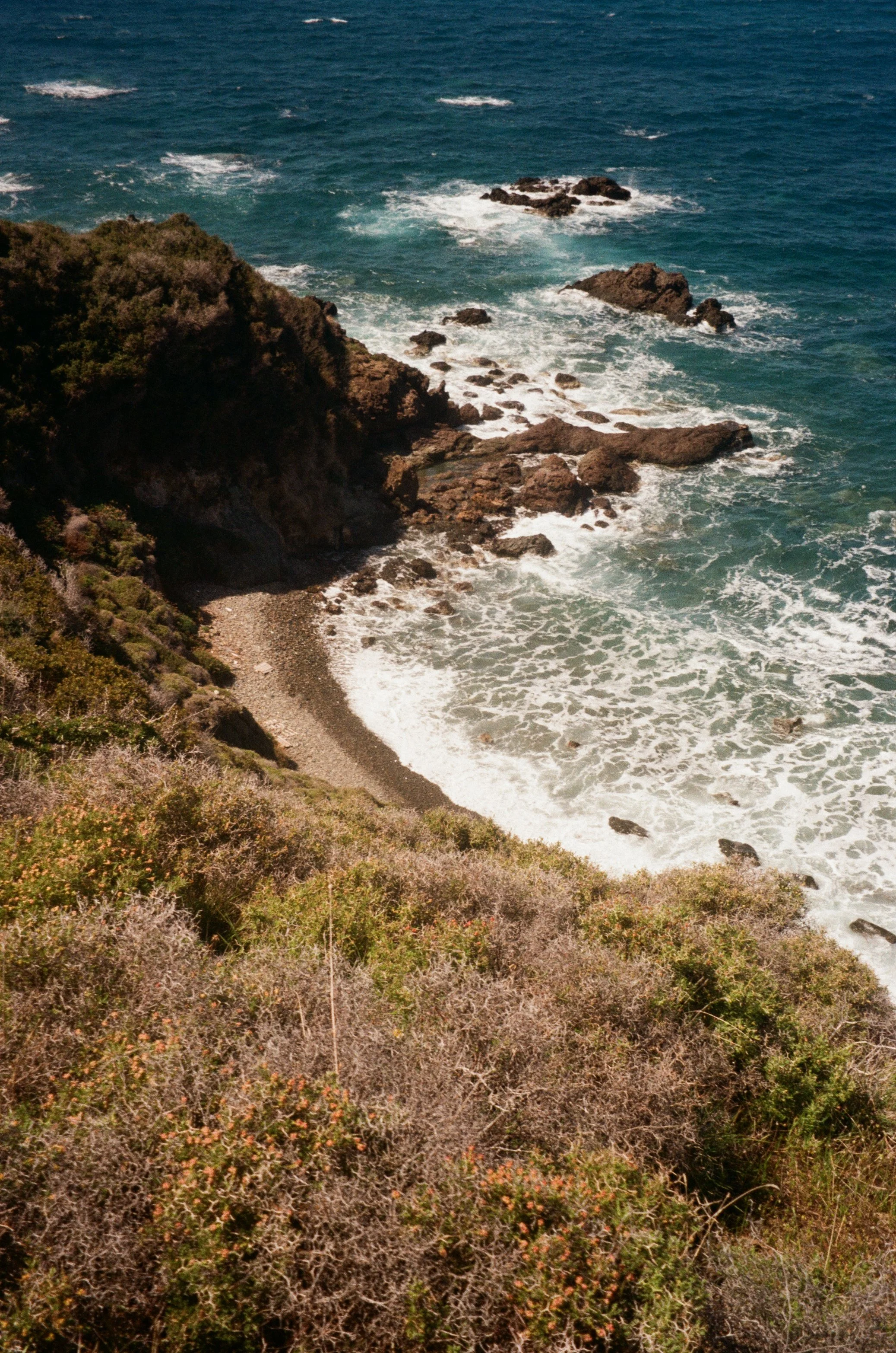 Coastal view of rocky shoreline with ocean waves crashing against rocks, and shrubbery on the hillside in the foreground.