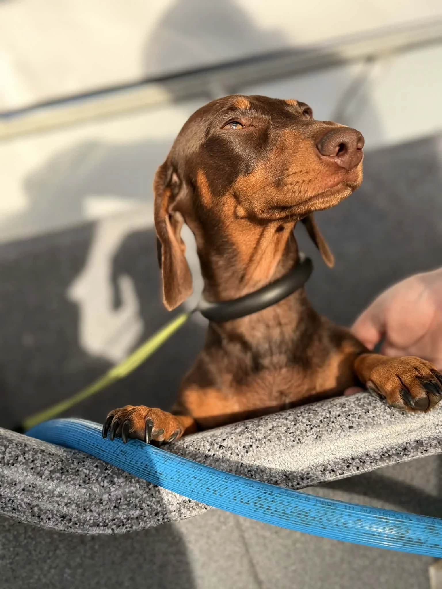 Suds & Scrubs Hydrobath