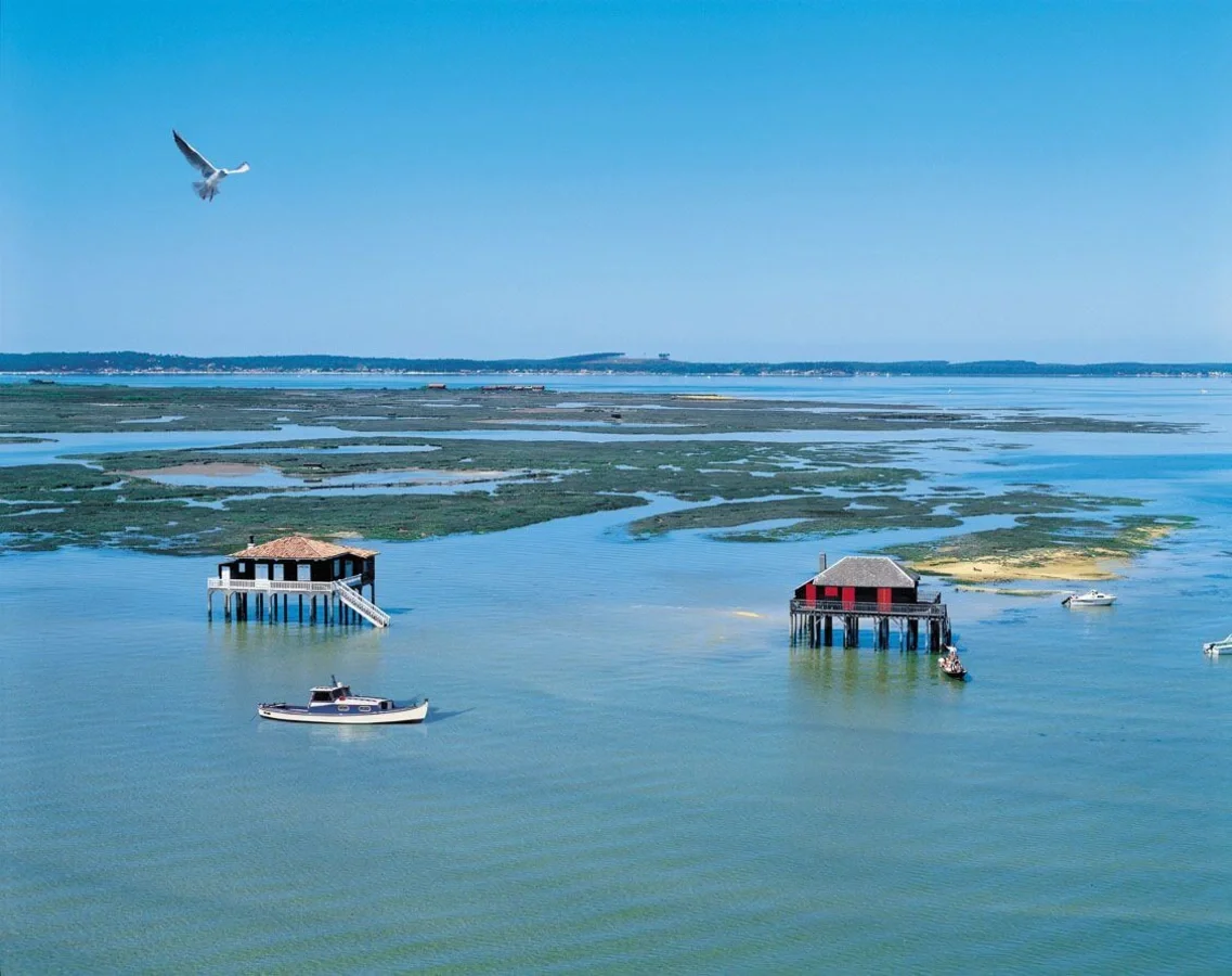 Île aux oiseaux pinasse Arcachon