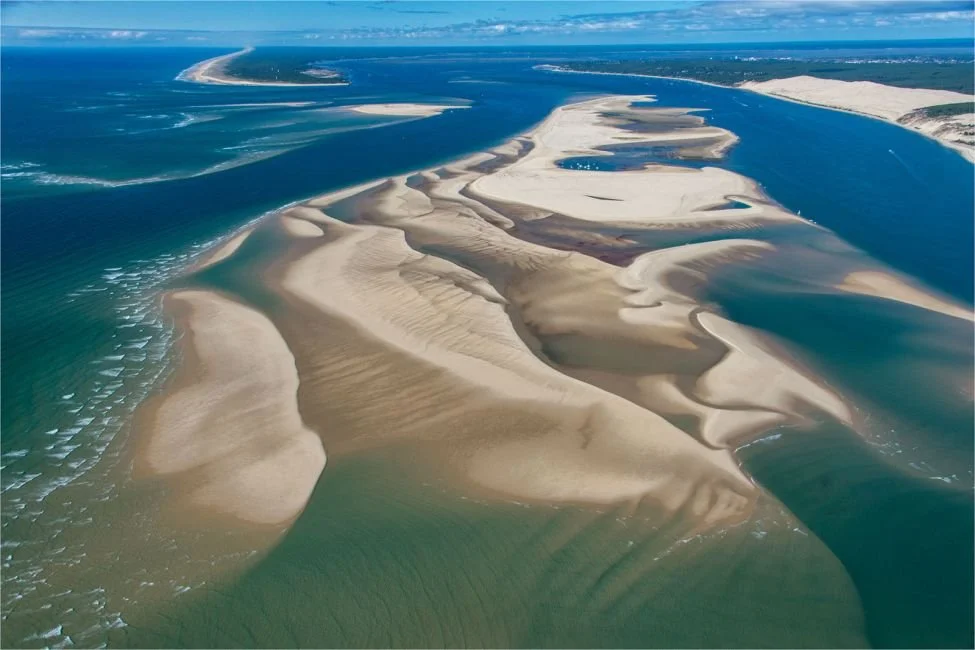 Journée au banc d'Arguin