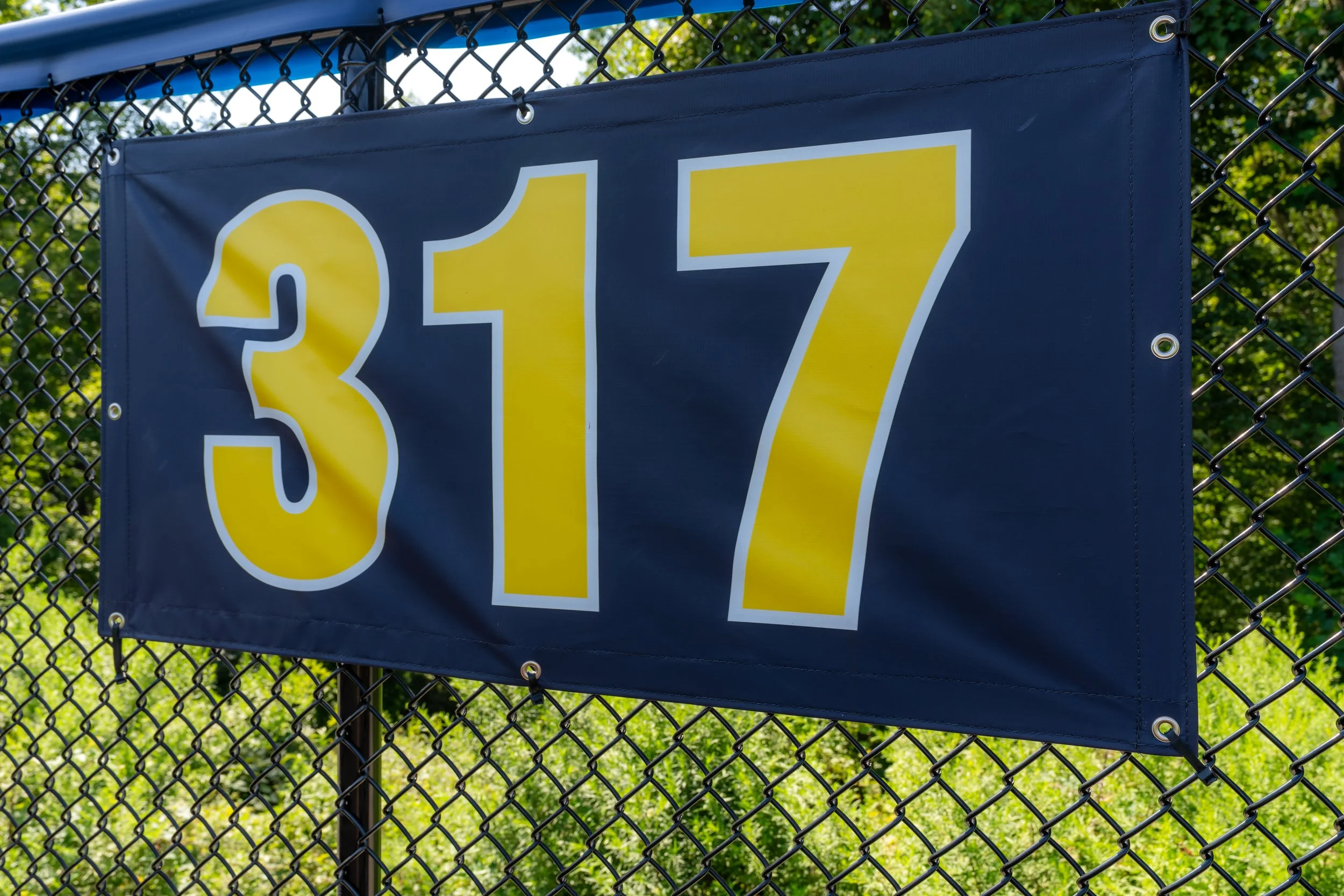 Blue banner with yellow and white pricing numbers '$3.17' attached to a chain-link fence, with green trees in the background.