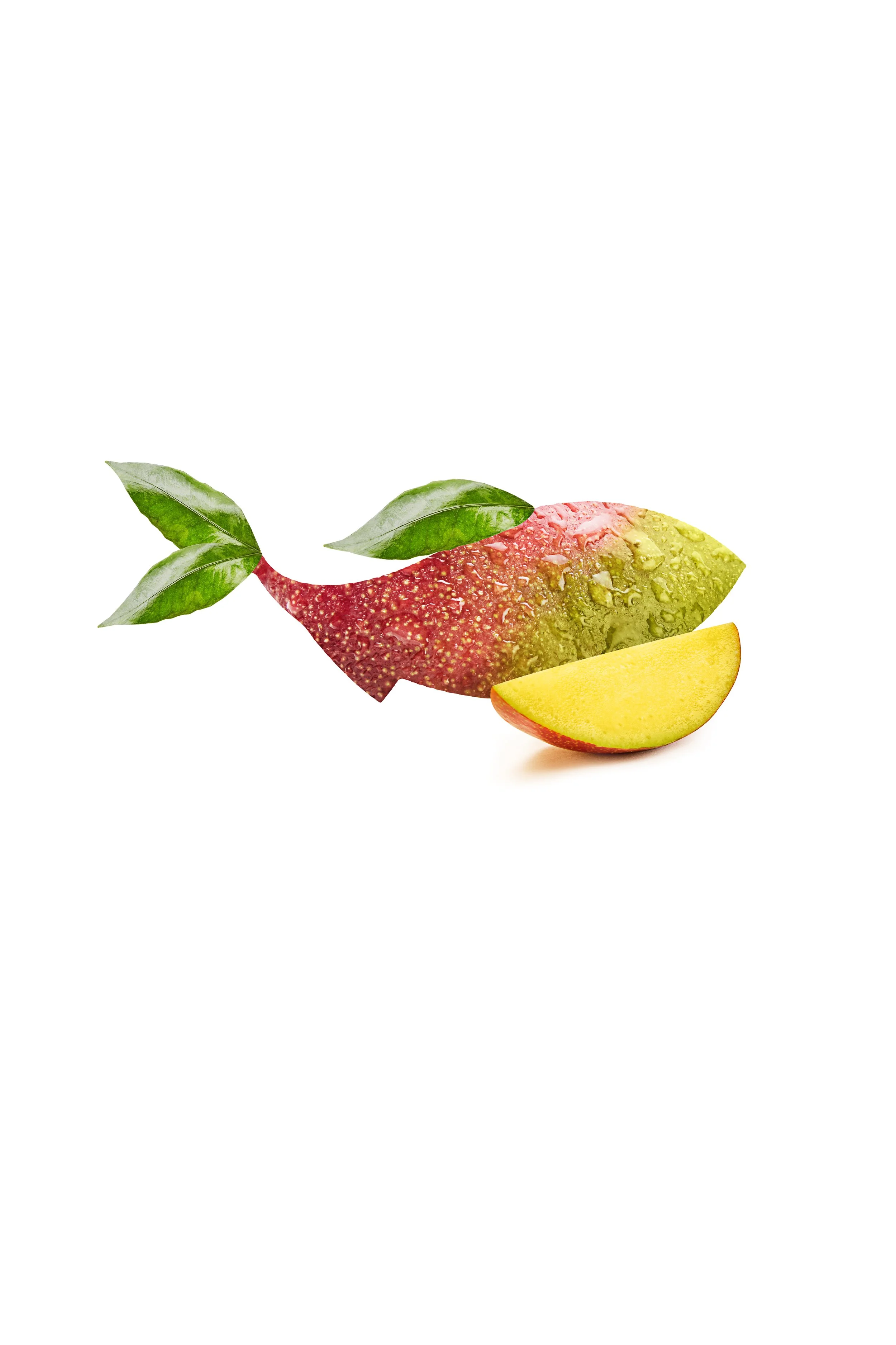 A creative digital collage of an apple with the body of a fish, accompanied by a slice of apple.