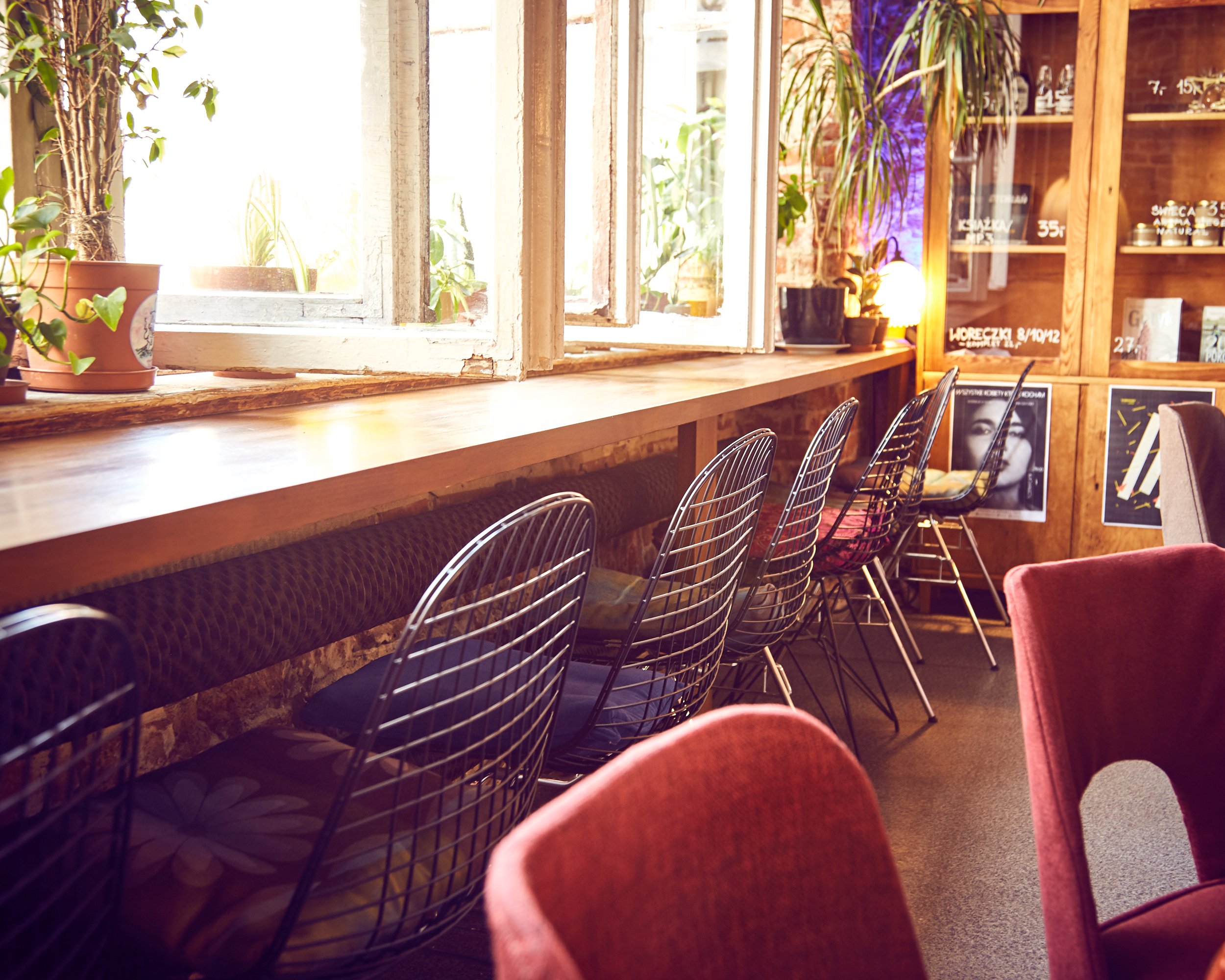 Cozy cafe with a wooden counter overlooking a window with potted plants, black wire chairs with colorful cushions, and a wooden wall with posters and shelves.