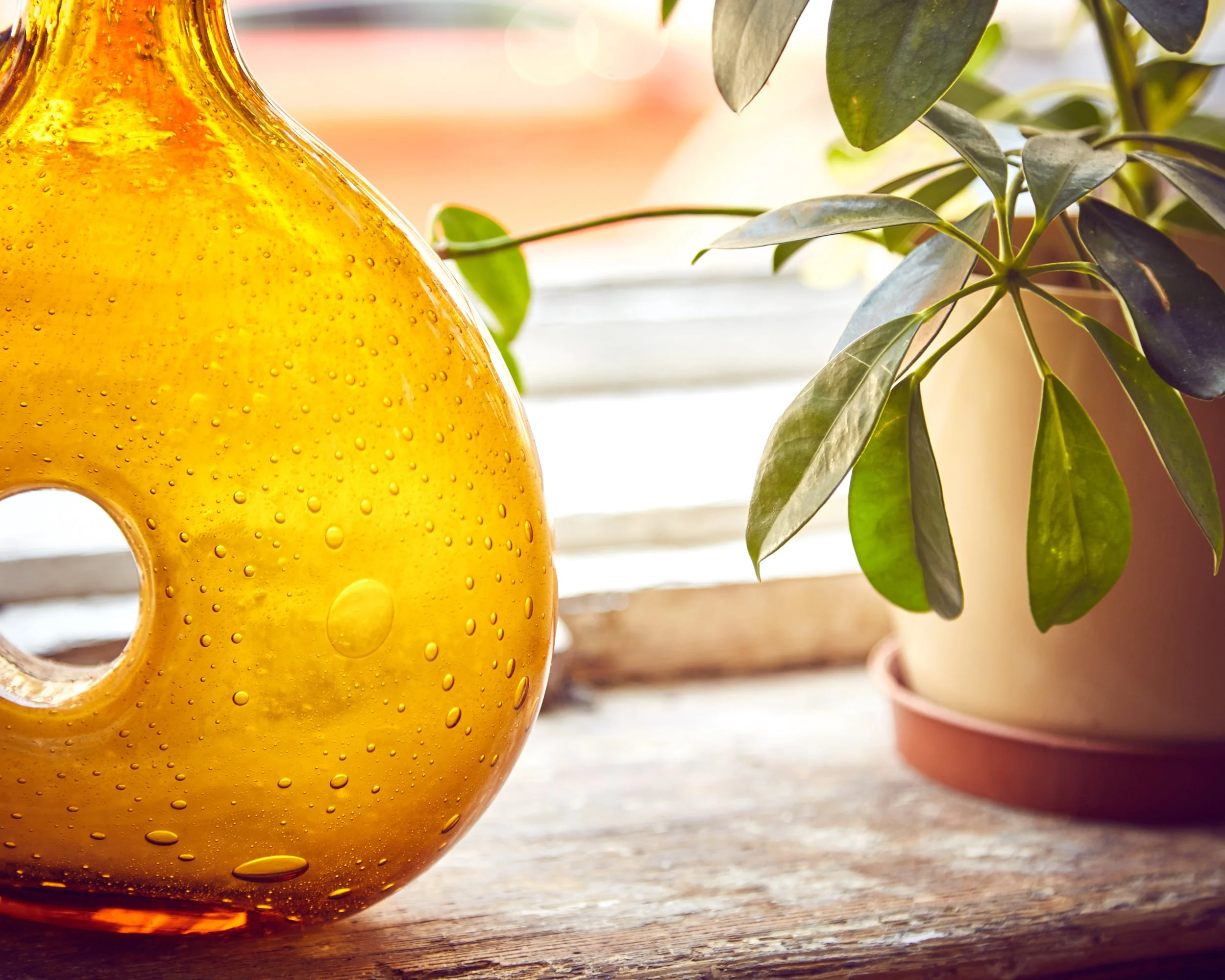 High end advertising profession product photo taken in location of a close-up of a glass water pitcher with condensation on it, placed on a wooden surface near a potted plant with green leaves.