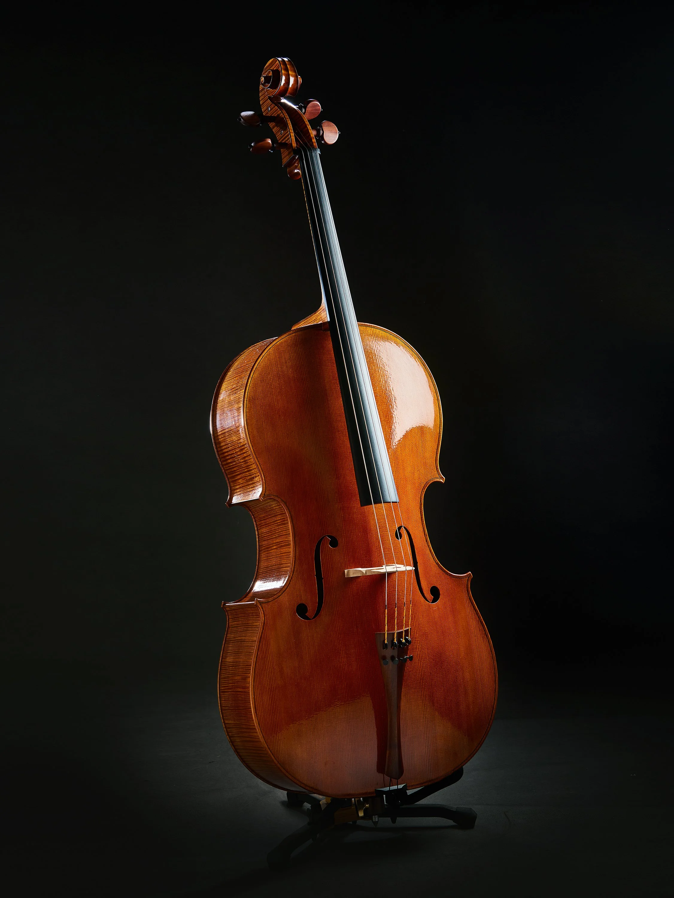 Advertising profession product photo taken in studio of a wooden violin standing on a black stand against a dark background.
