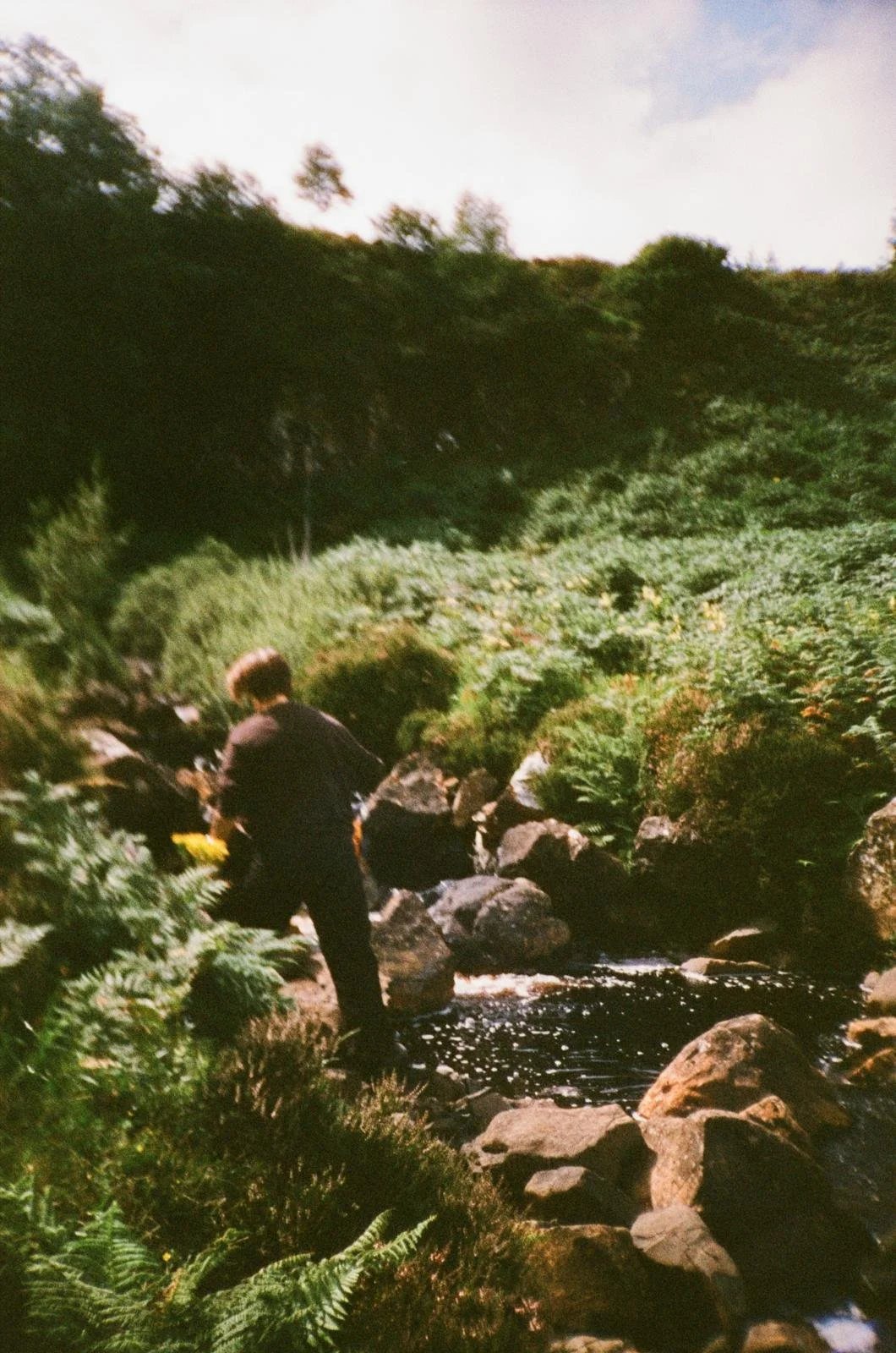 Person fishing in a rocky stream surrounded by lush green plants and trees, with hills in the background under a partly cloudy sky.
