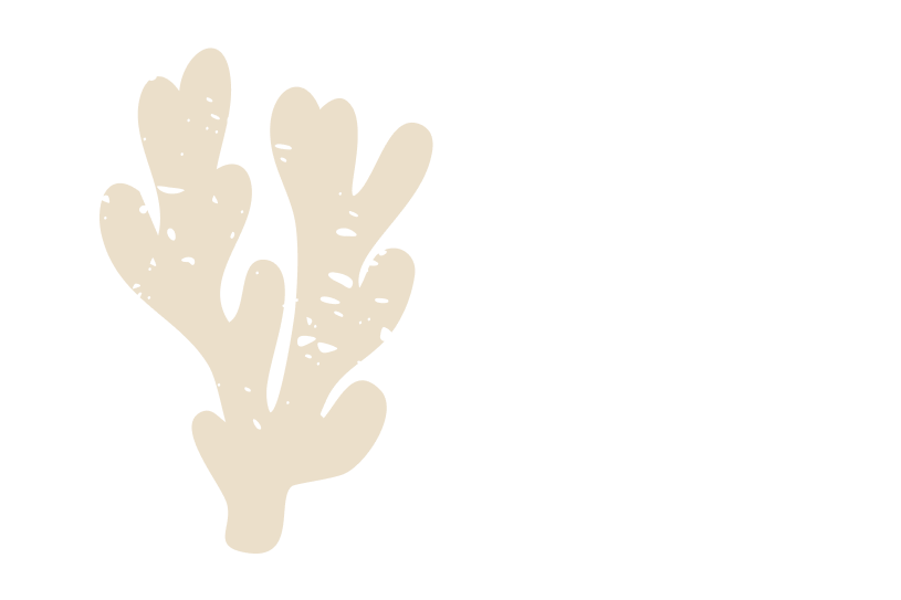 Coral icon