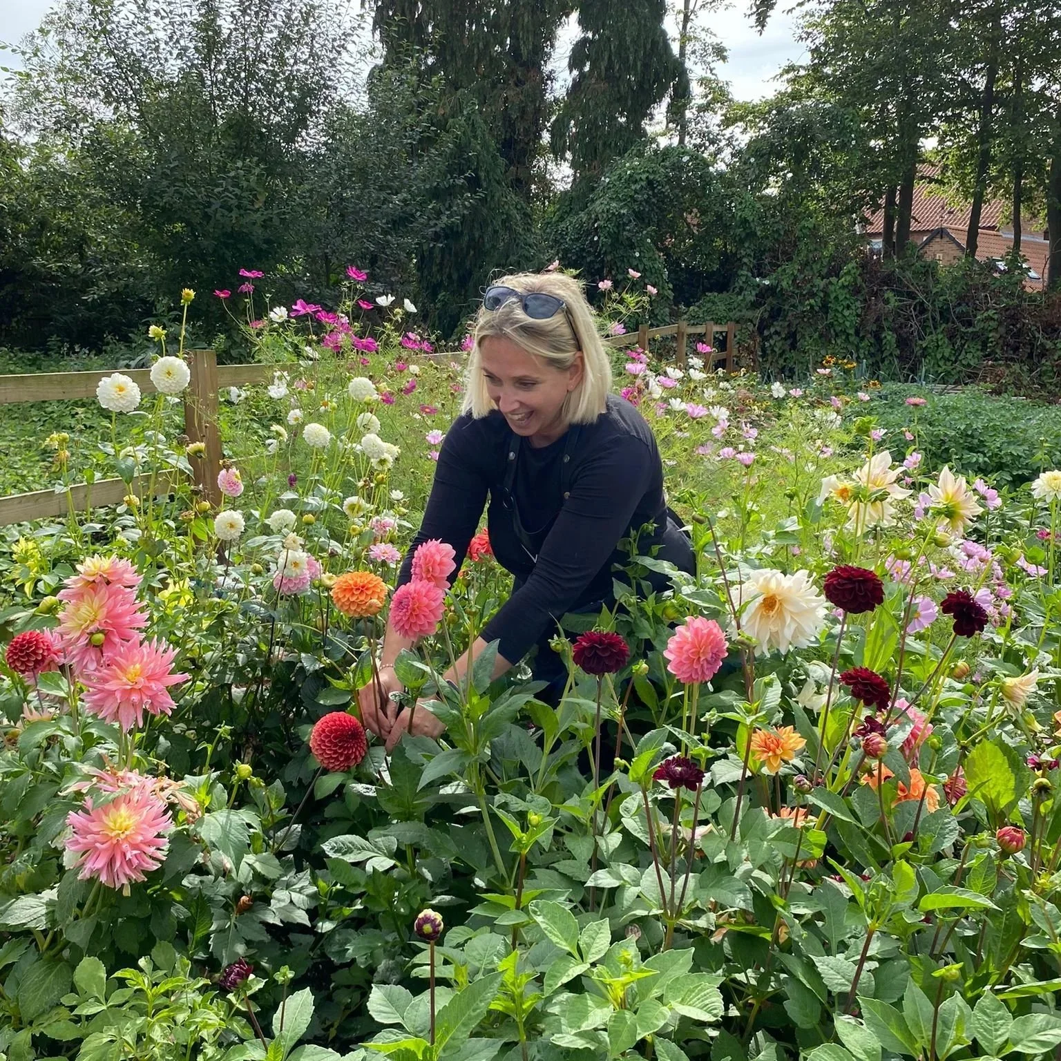 A woman with blonde hair, wearing sunglasses on her head and a black top, is tending to a garden full of colorful flowers. East Yorkshire based wedding florals, handcrafted wedding flowers.