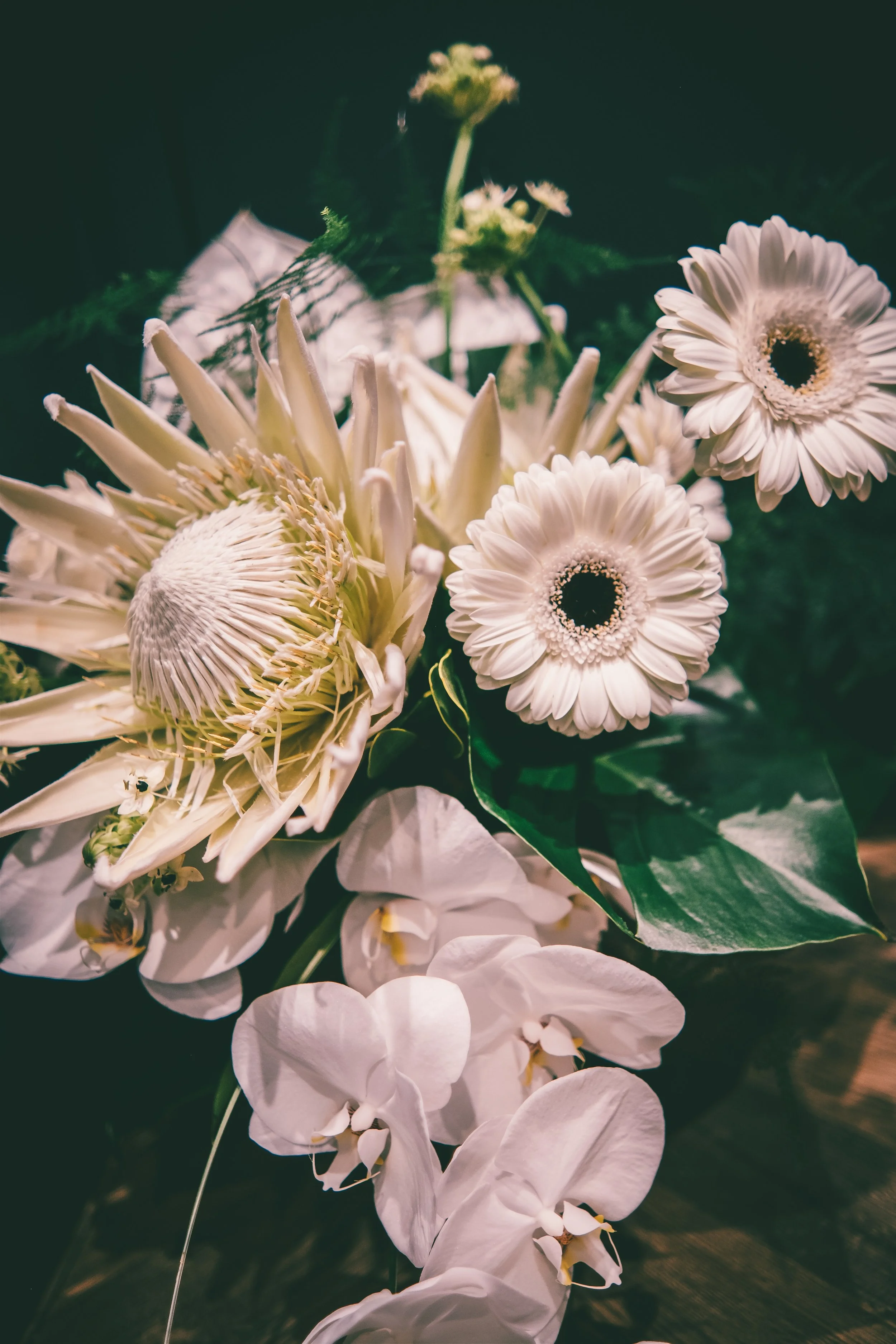 Close-up of white flowers including gerbera daisies, orchids, and a large protea, with green leaves in the background. East Yorkshire based wedding florals, handcrafted wedding flowers.