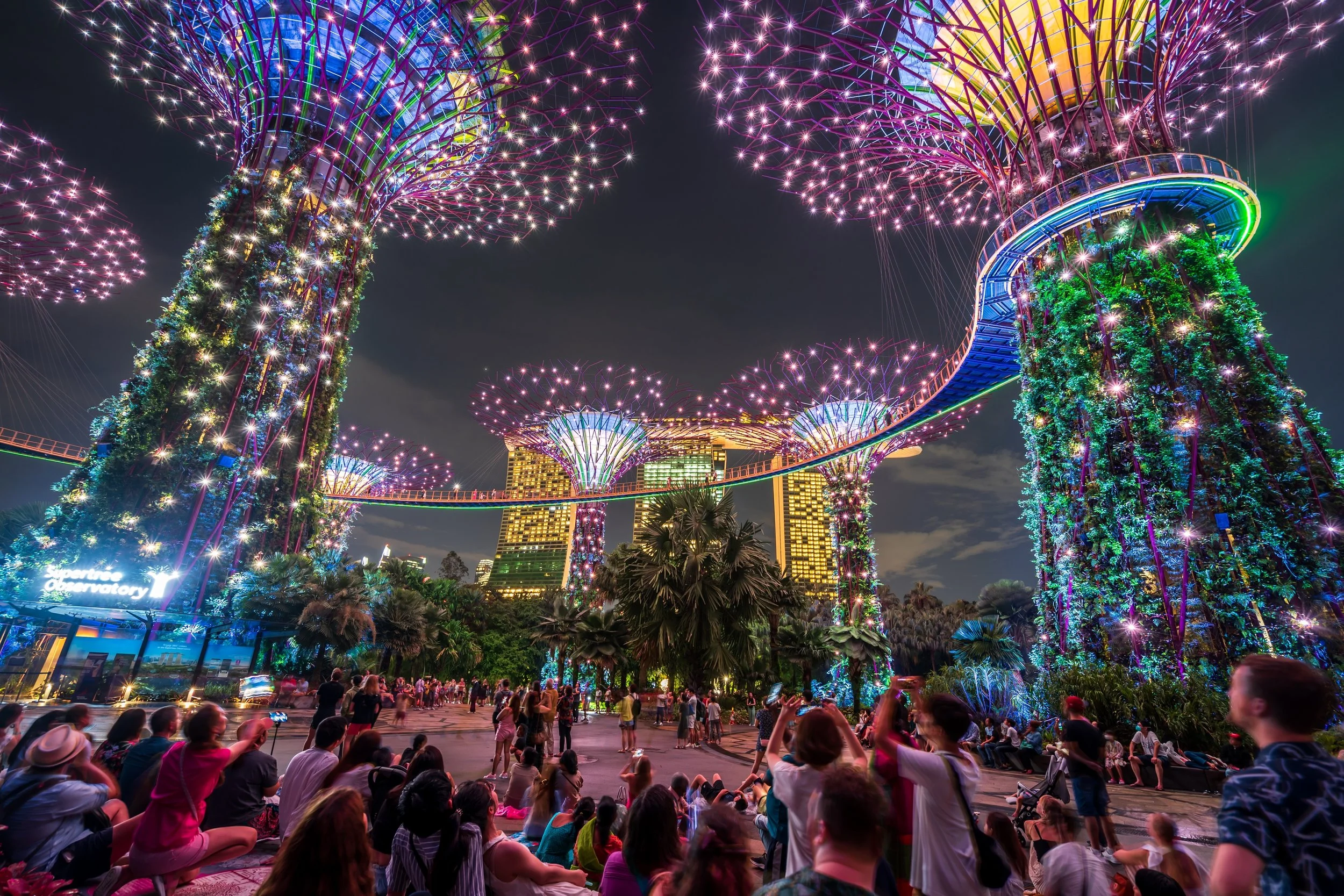 gardens-by-the-bay-supertree-grove-singapore-at-night.jpg